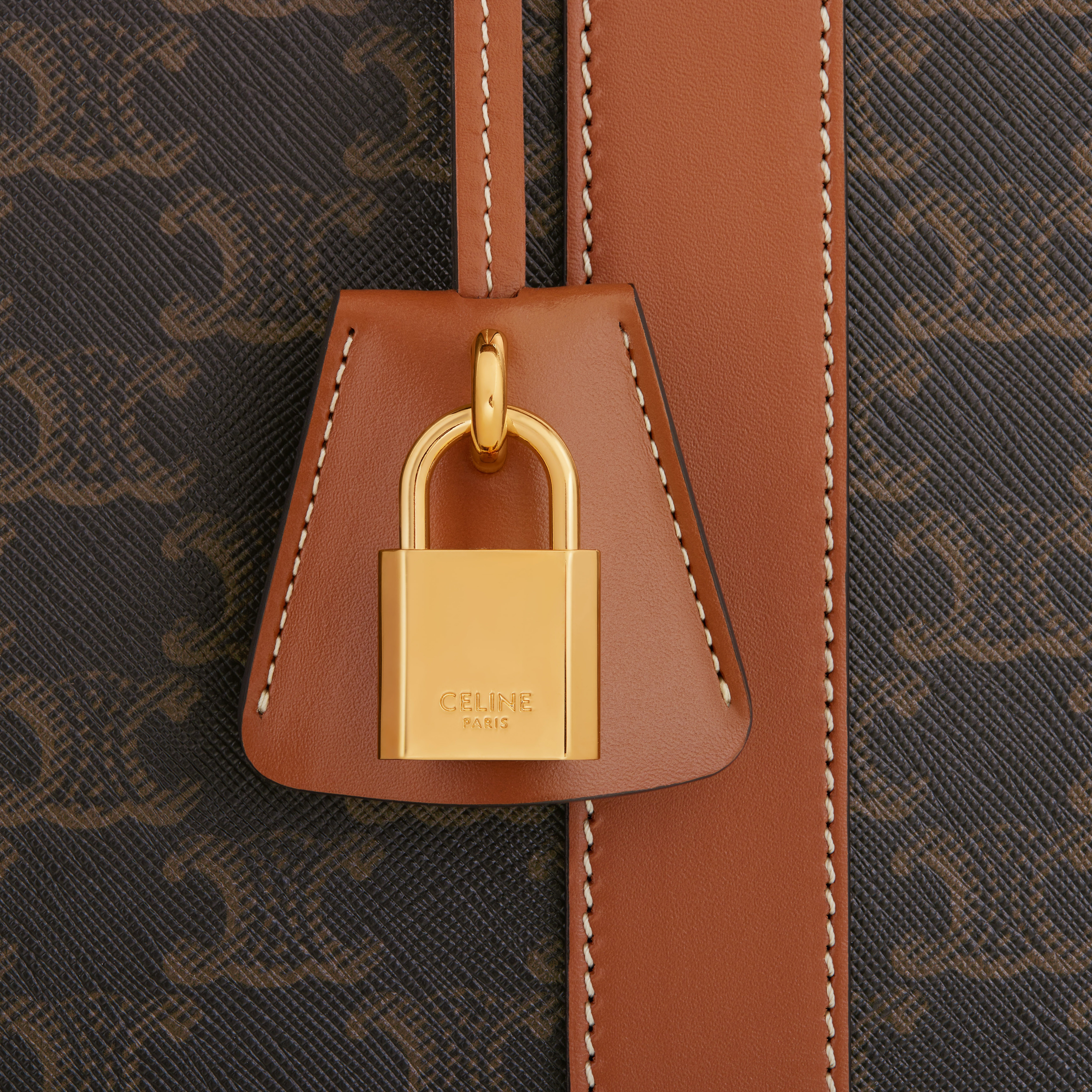 Soft Luggage 70 in Triomphe Canvas and Calfskin - 5