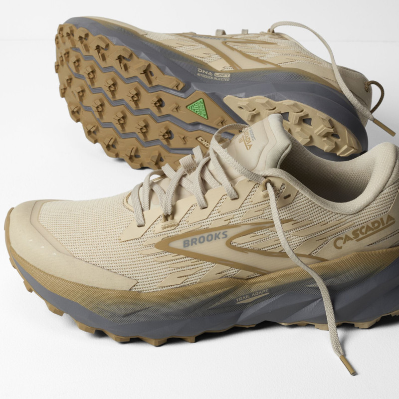 BROOKS Cascadia 19 outlook
