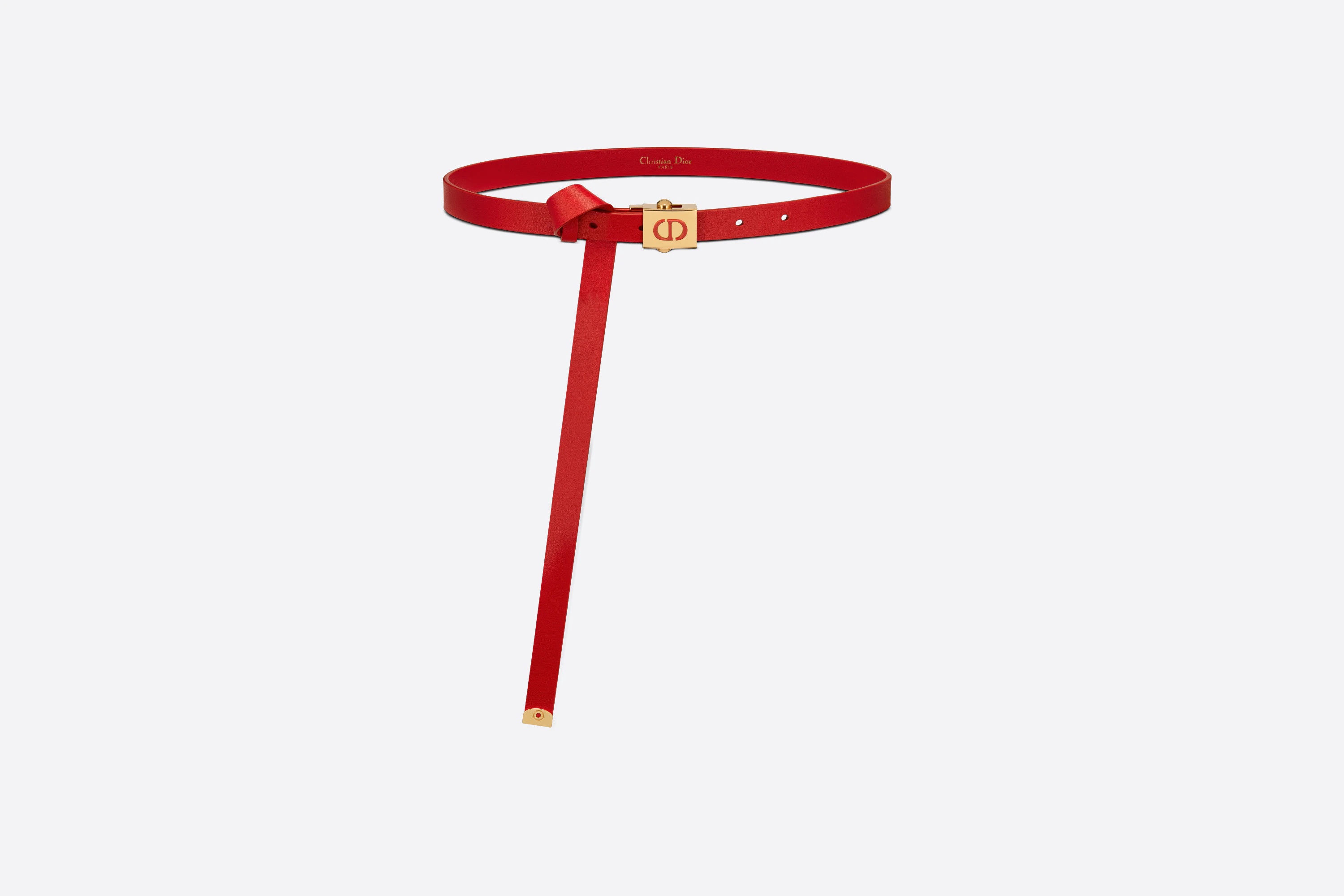 Diorpolytechnique Belt - 1
