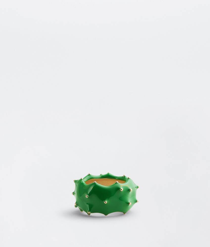 cacti - 3