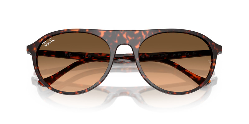 Ray-Ban RB2215 outlook