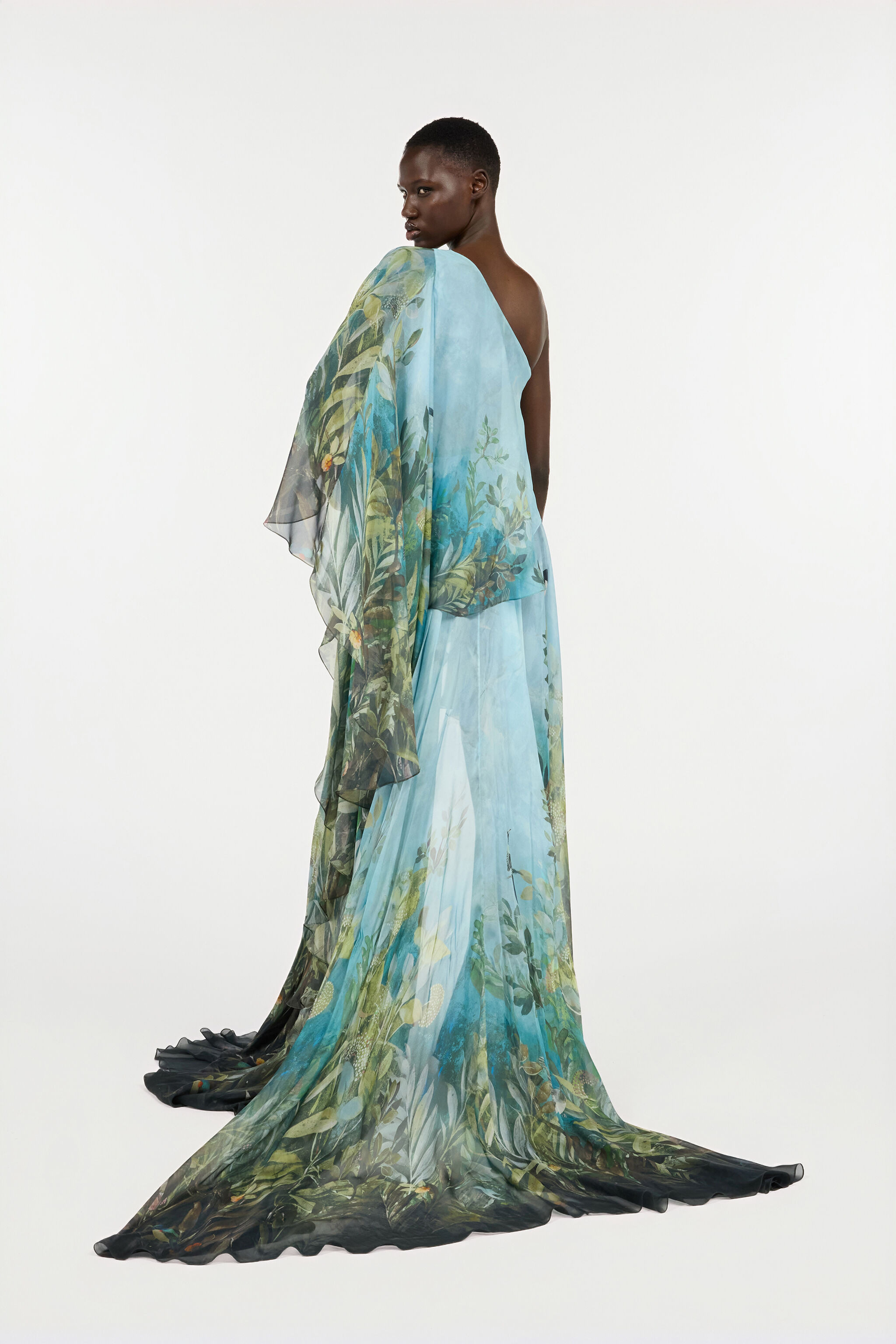 Extra-Long Silk Dress With Nature Print - 4