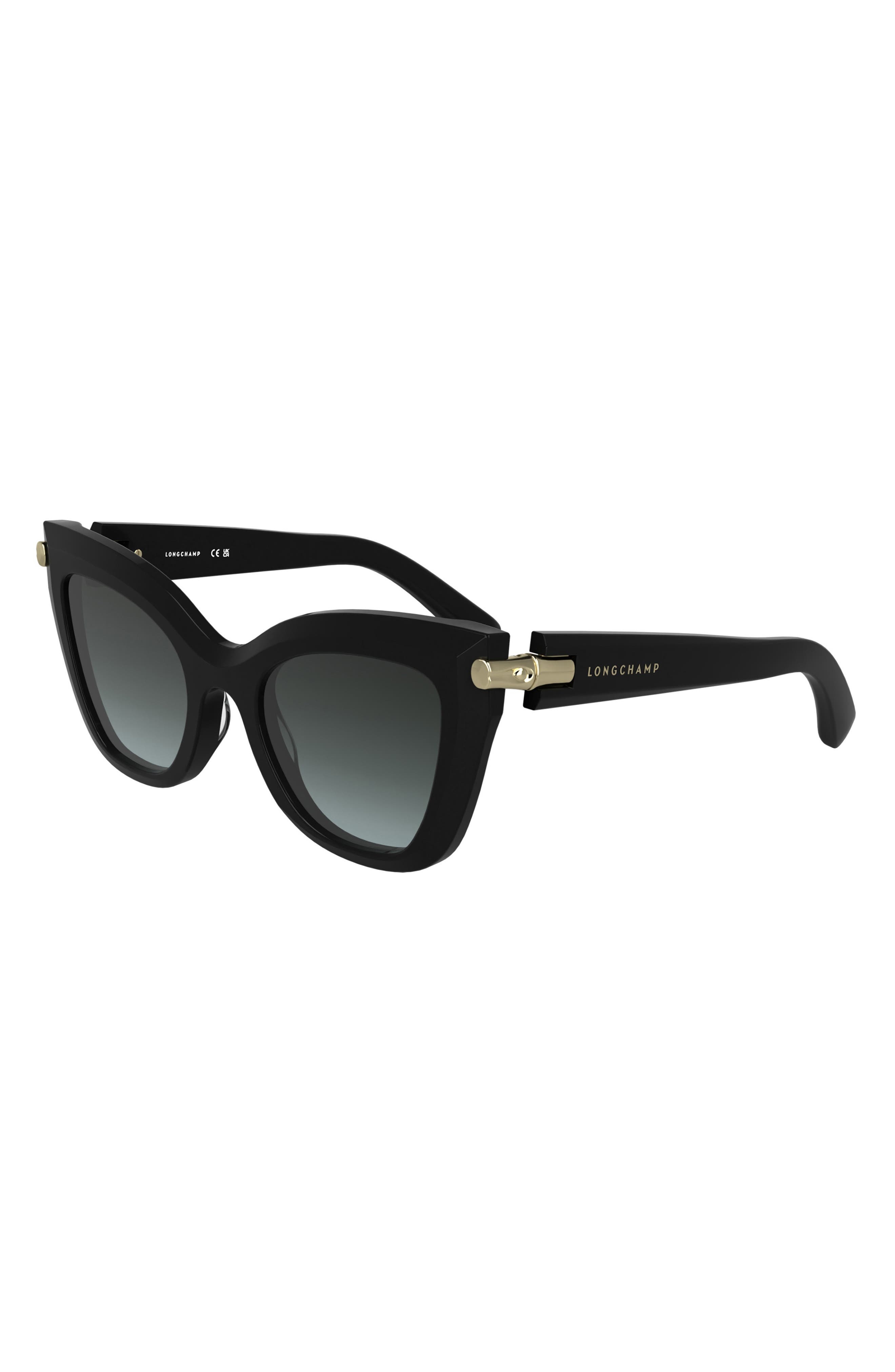 Longchamp Roseau 50mm Gradient Cat Eye Sunglasses in Black at Nordstrom - 2