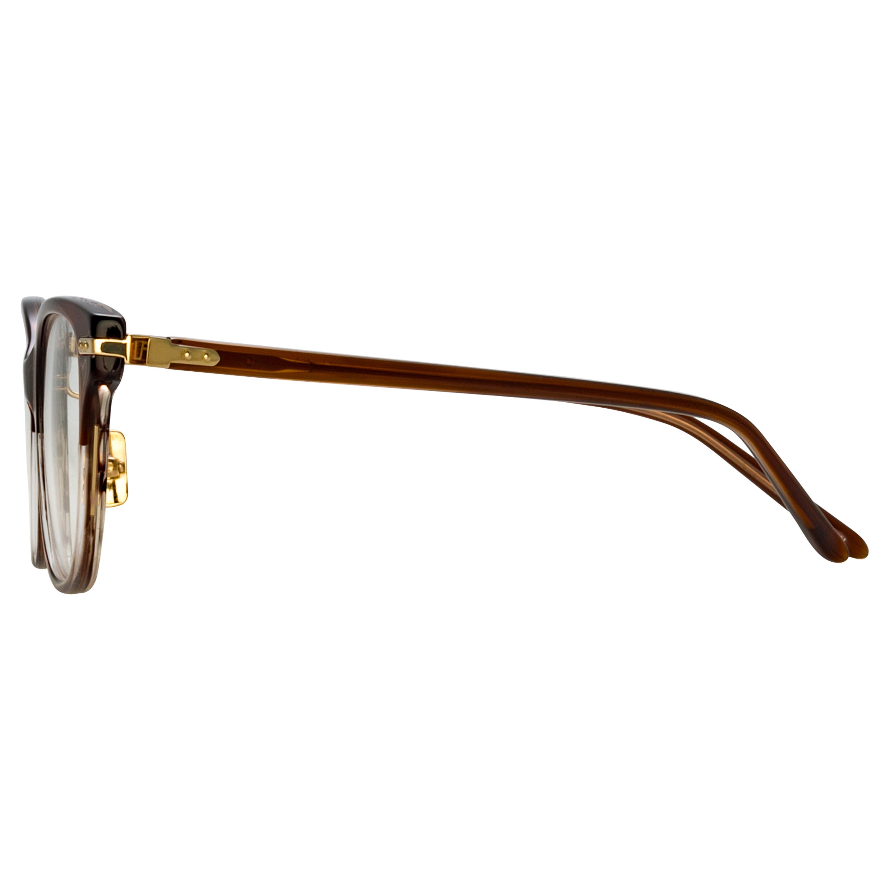 Hadid Optical in Caramel Horn - 7