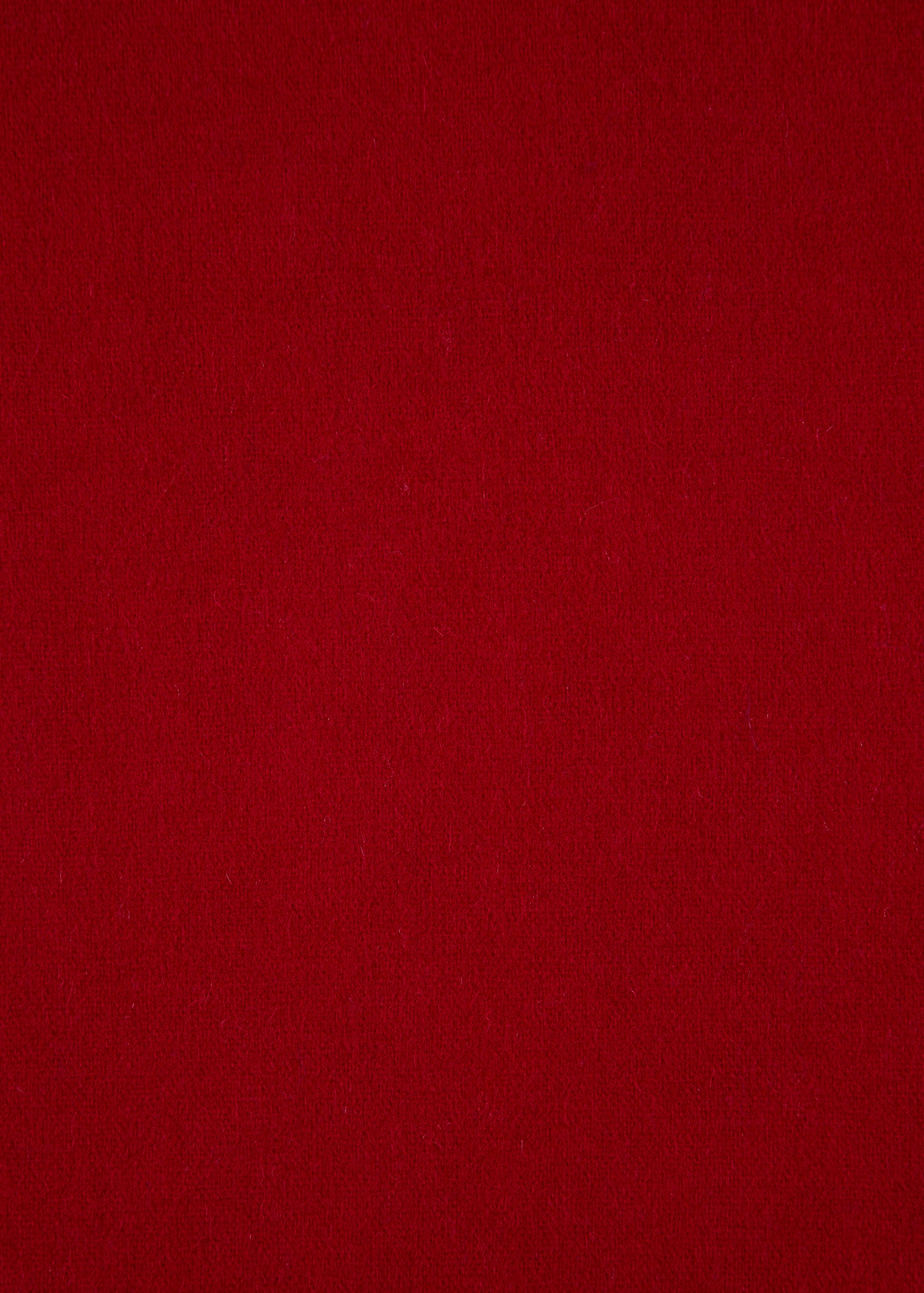 Red Lambswool Zebra Scarf - 3