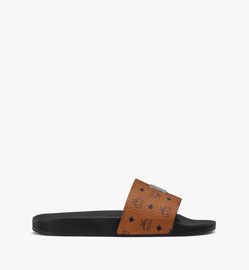 MCM Visetos Slides outlook