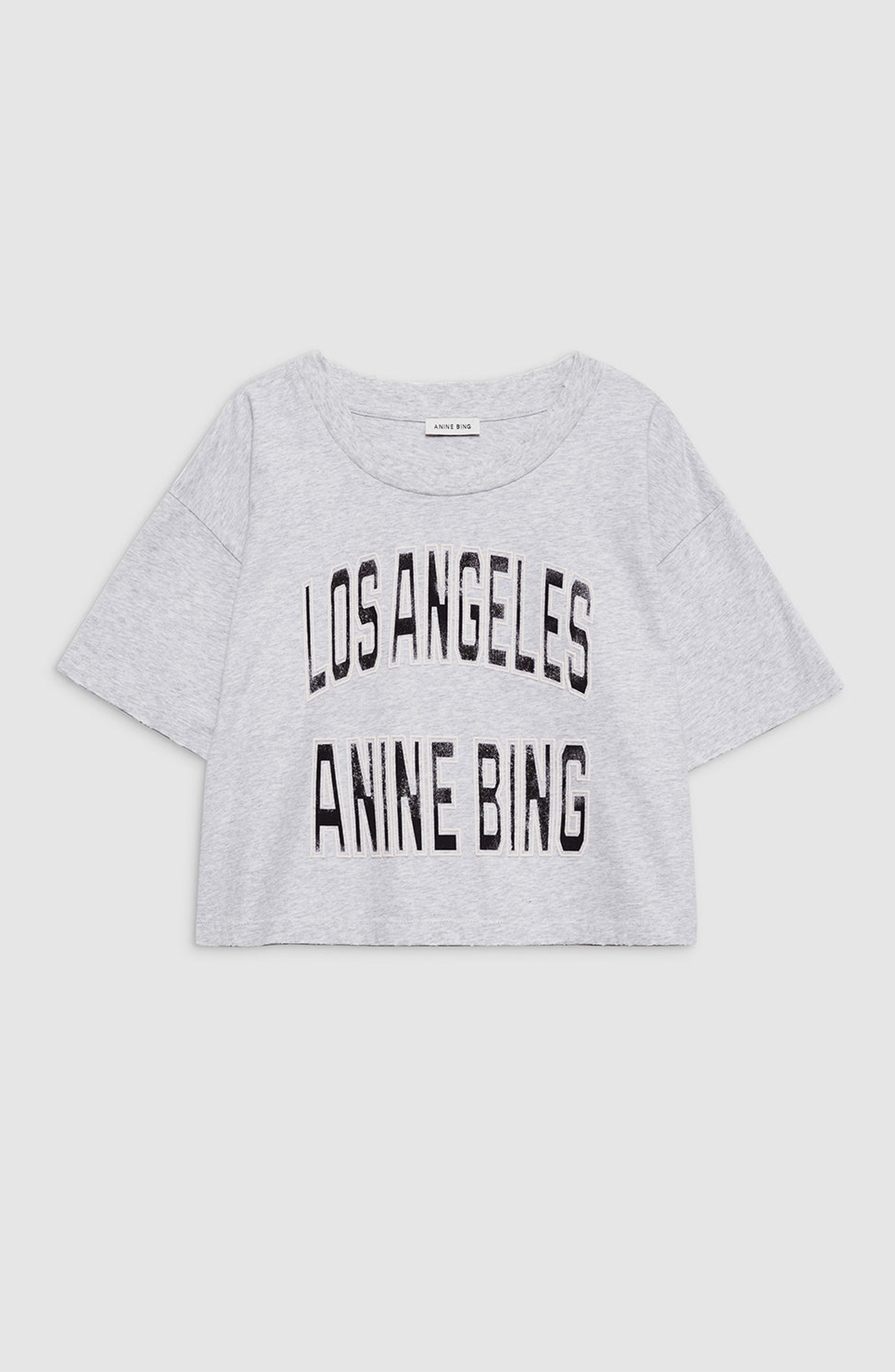 ANINE BING Johnny Cropped Tee in Grey at Nordstrom - 4