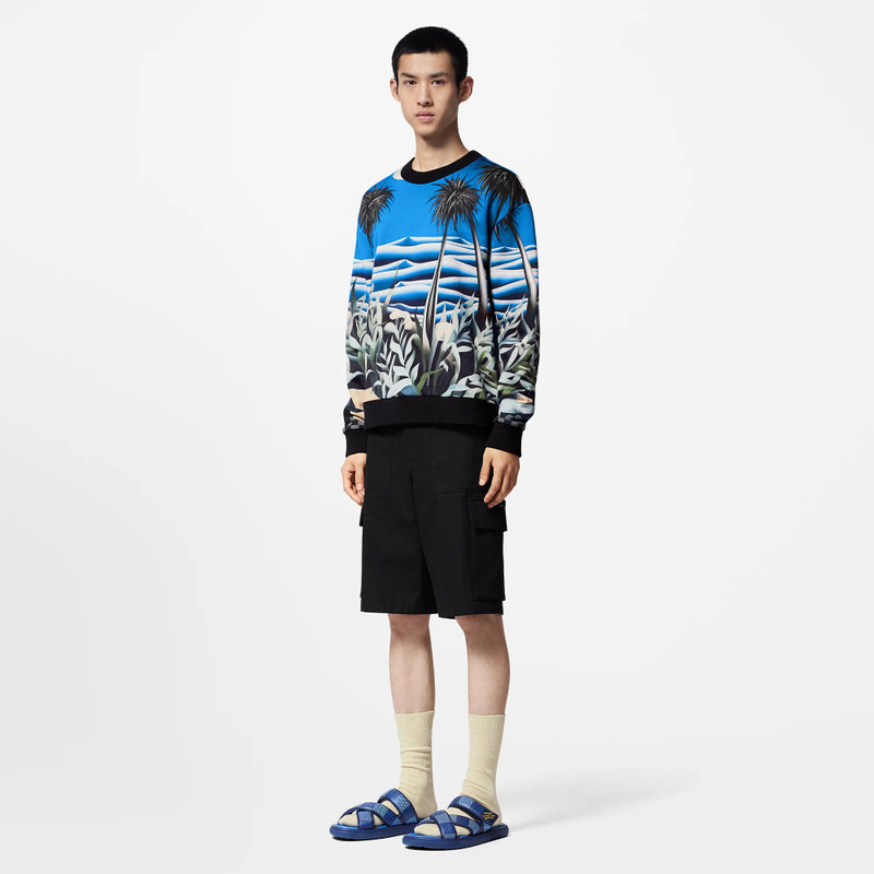 Louis Vuitton Printed Technical Cotton Sweatshirt outlook