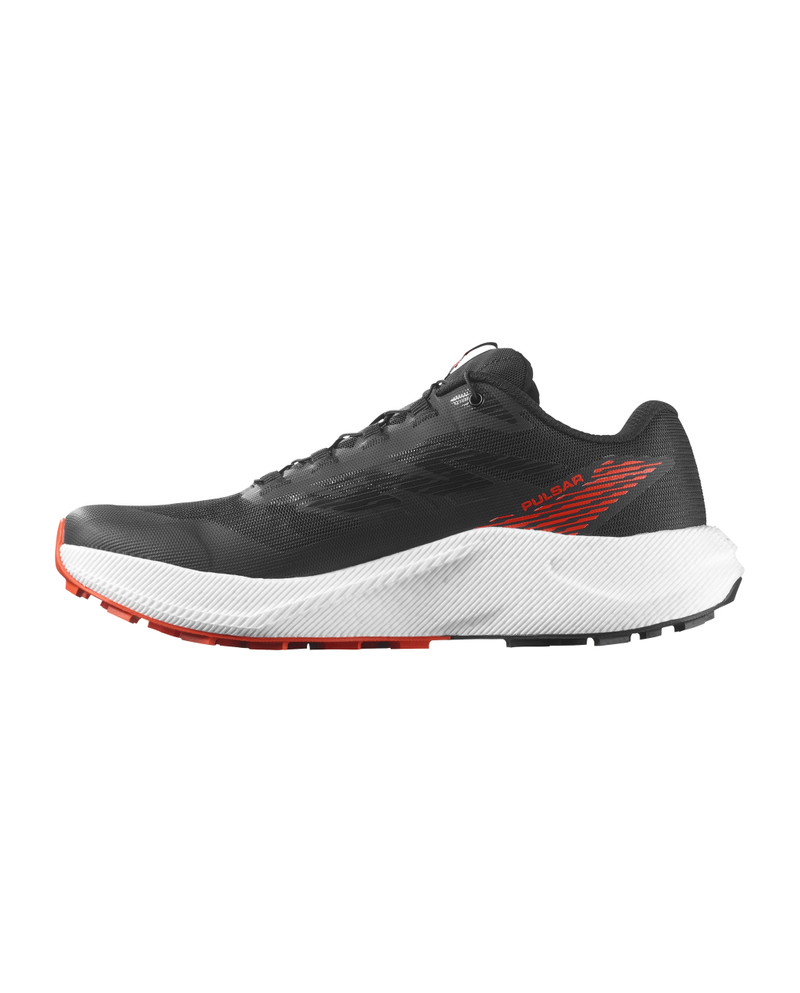 SALOMON PULSAR outlook