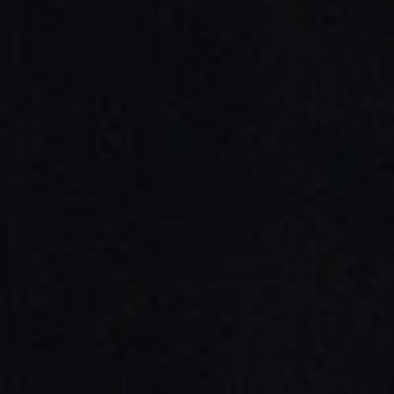 Jerry Jacket in Cotton and Silk 5