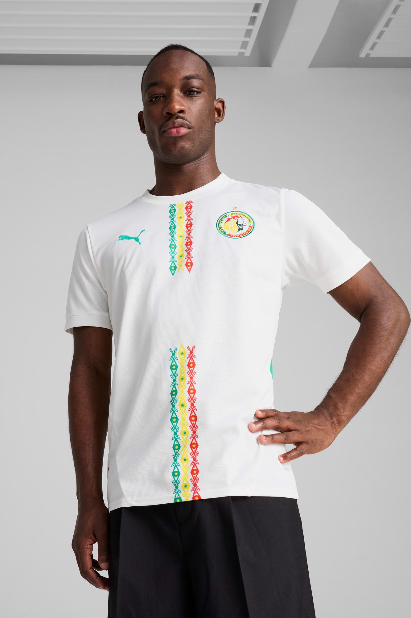 Senegal 2025 Men's Home Replica Soccer Jersey - 3