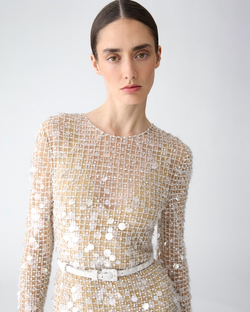 Crystal-Embroidered Midi Dress 4