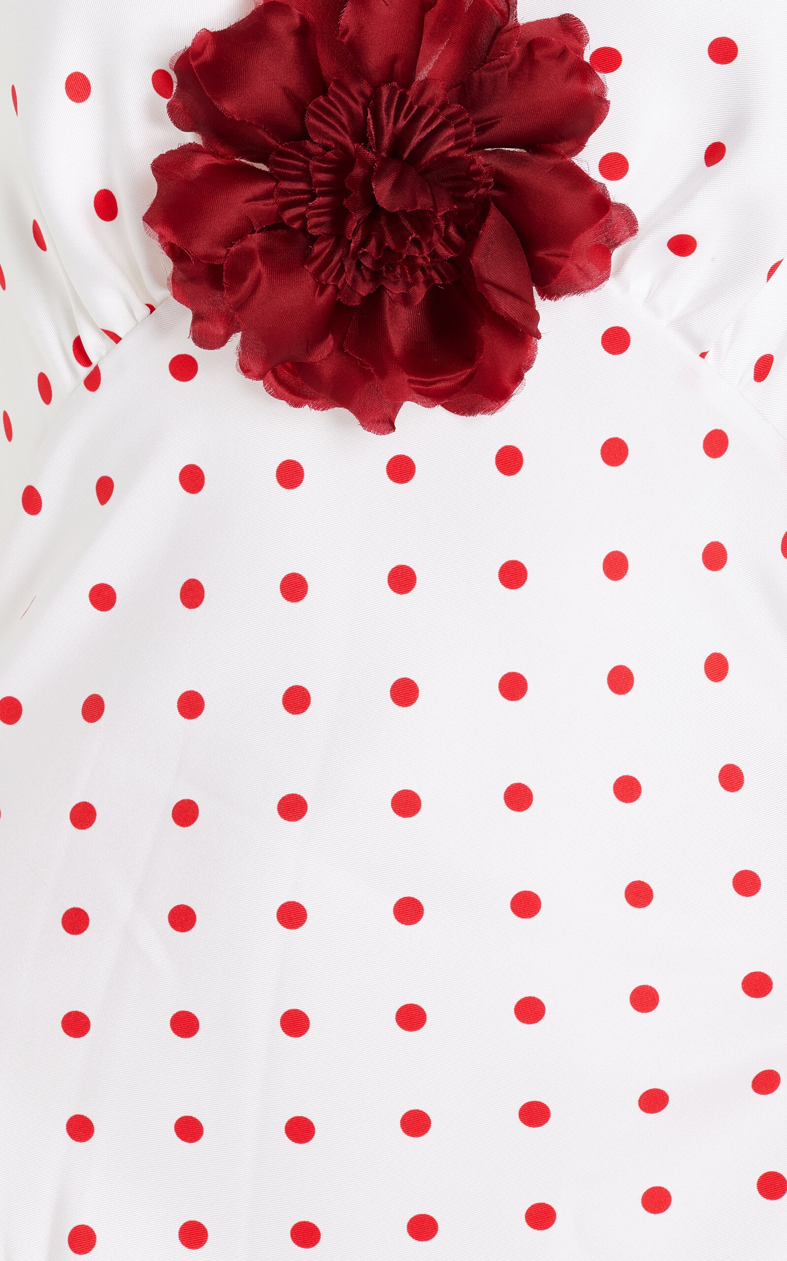 Polka-Dot Silk-Twill Maxi Dress print - 5