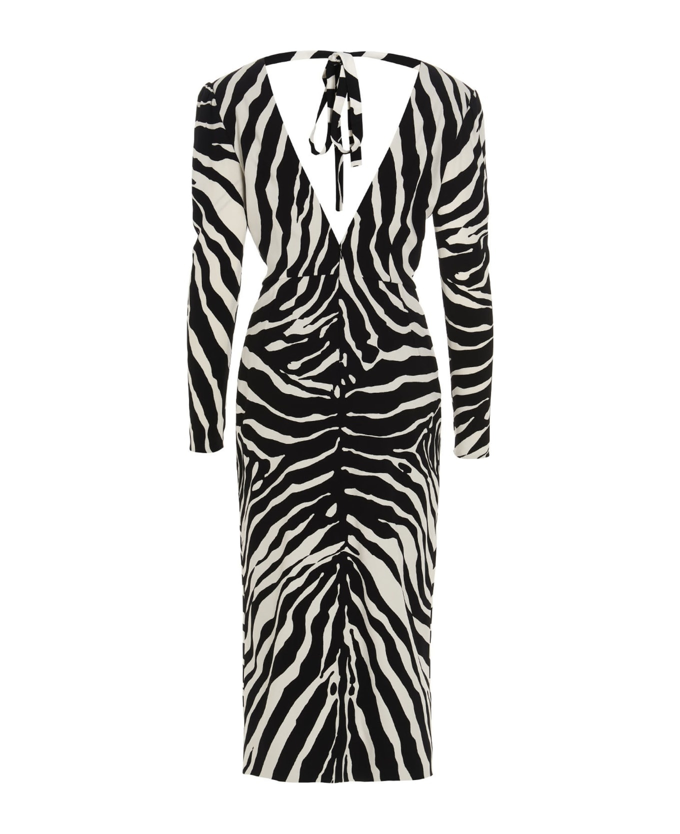 Zebra Dress - 2