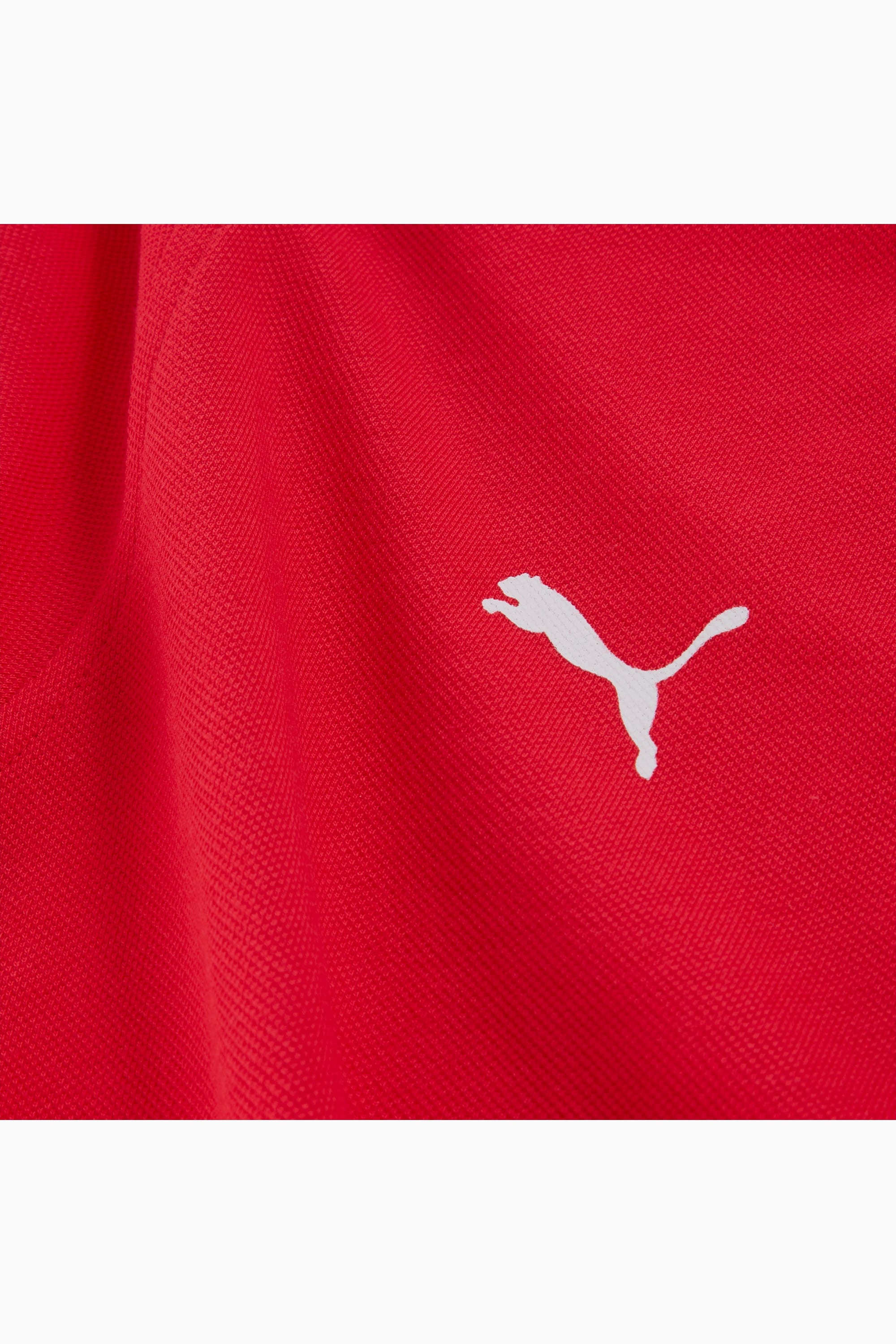 Scuderia Ferrari Race Men's Graphic Polo - 9