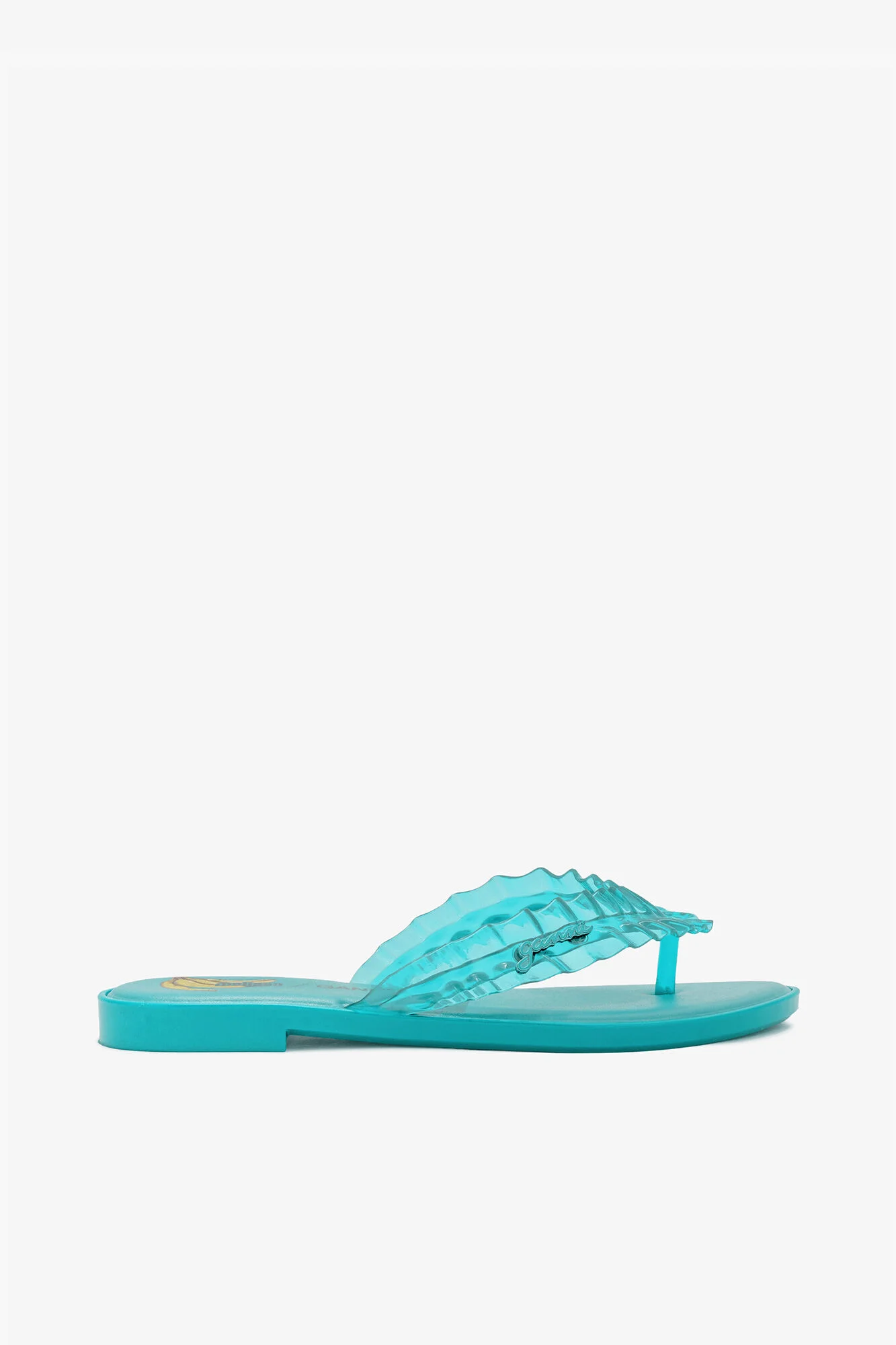 MELISSA FLIP FLOP IN BLUE - 1