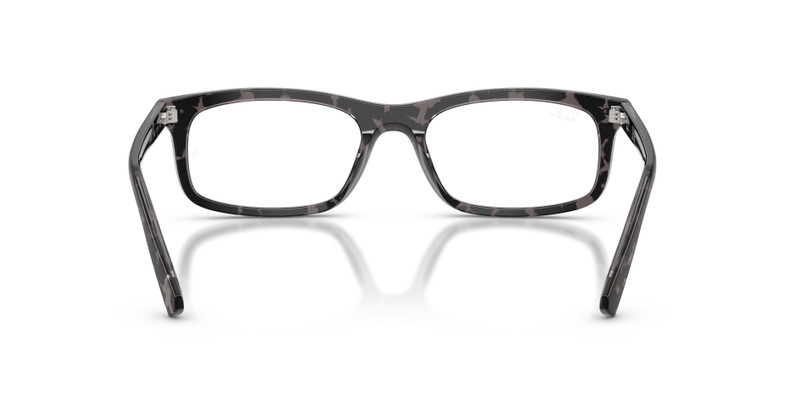 RB5450 OPTICS 6