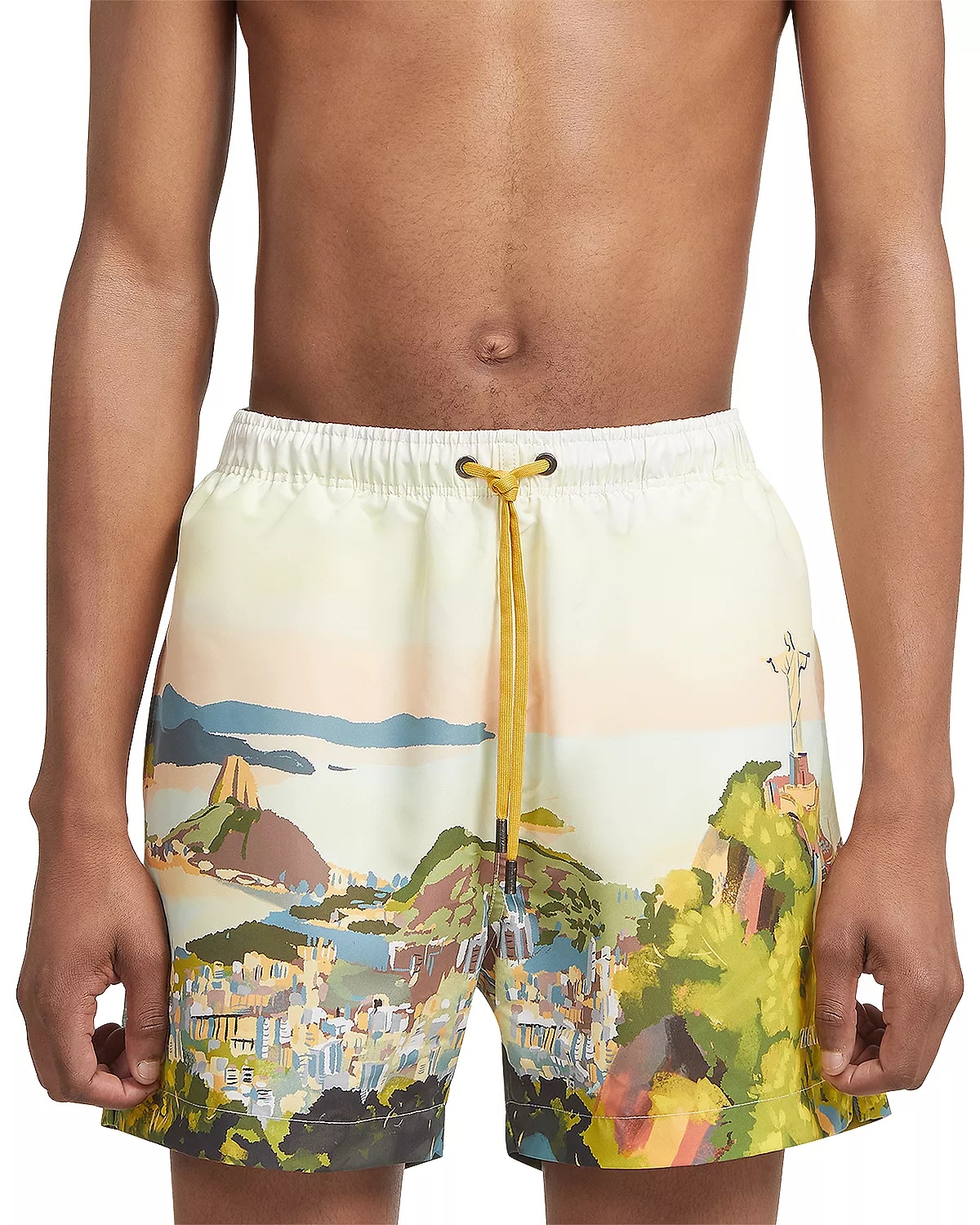 Rio de Janeiro Watercolor Swim Shorts - 1
