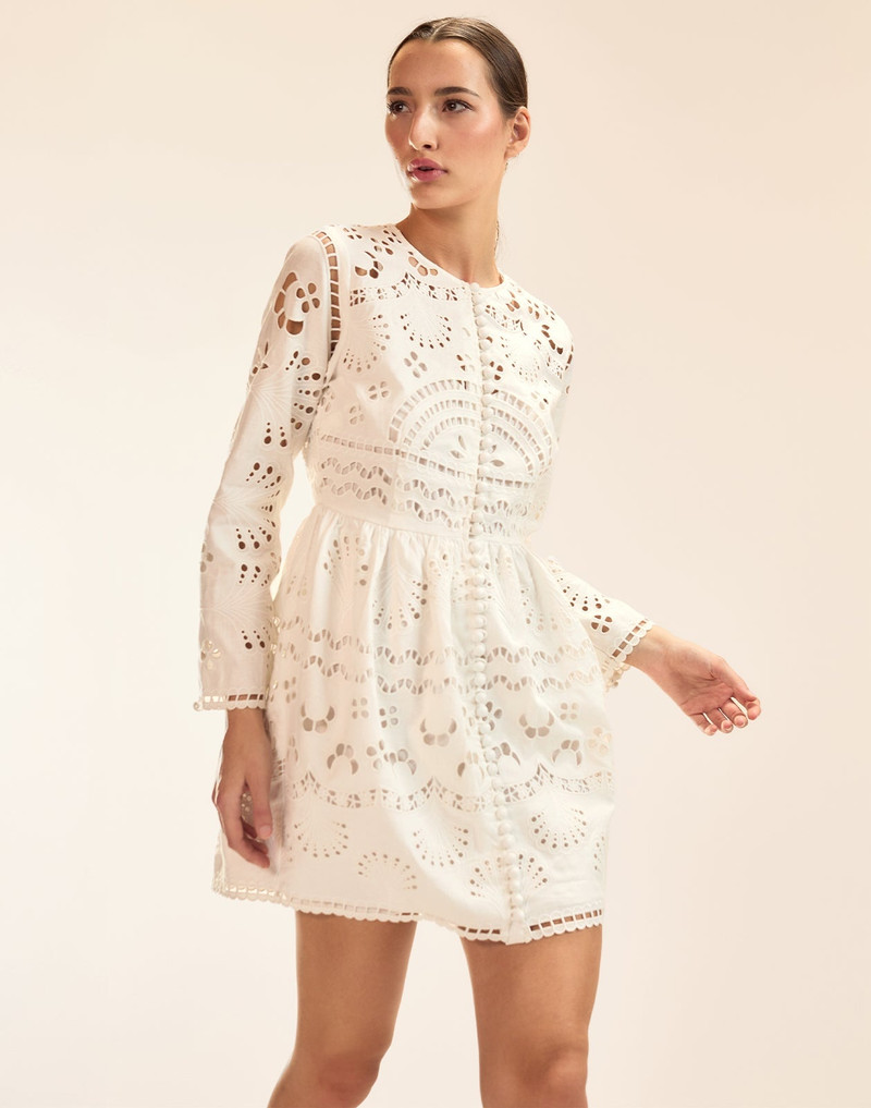 Eva Embroidered Mini Dress 1