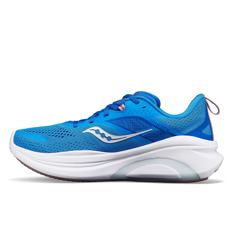 Saucony Omni 22 outlook