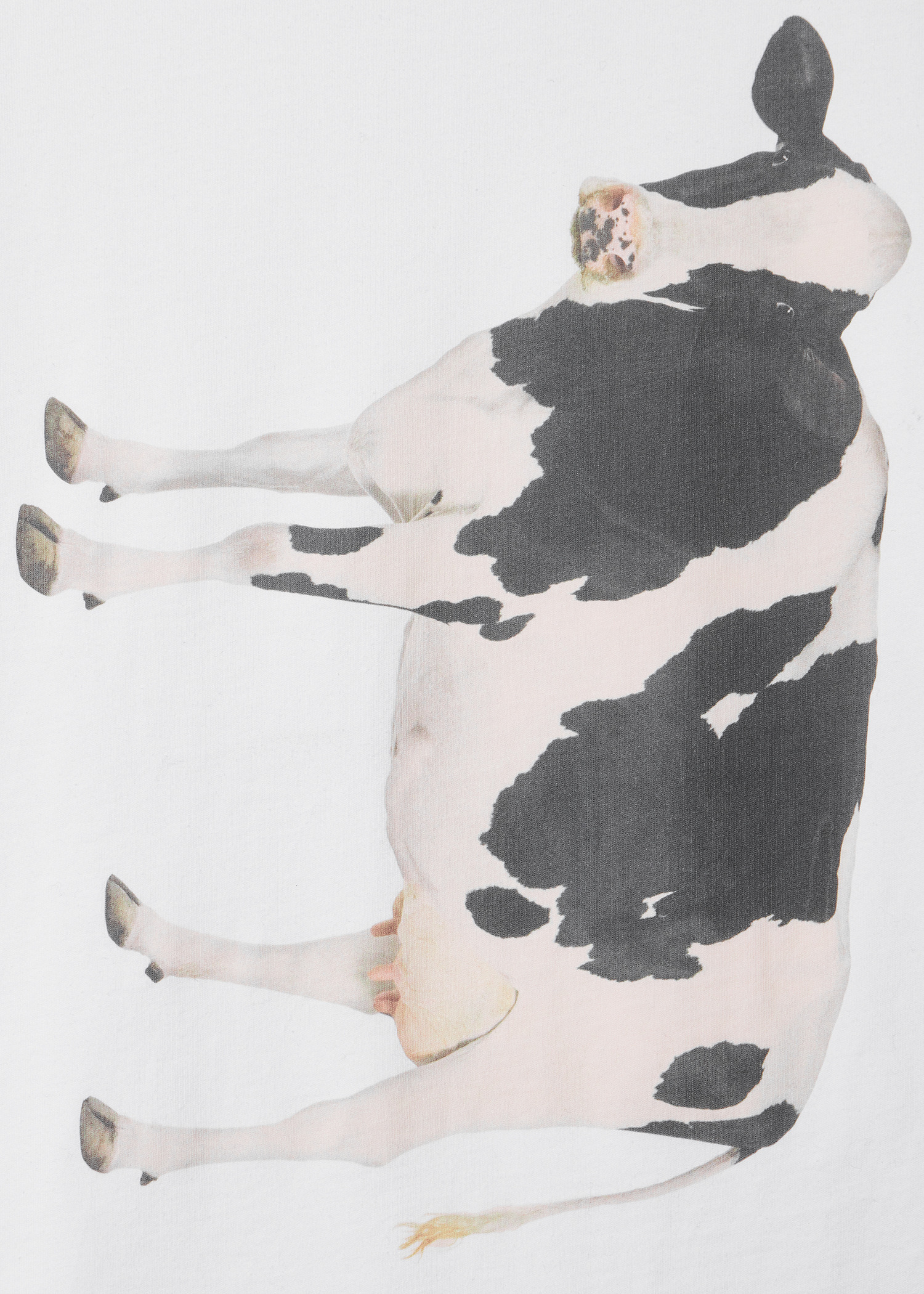 Paul Smith loves Barbour - Cow Print T-Shirt - 2