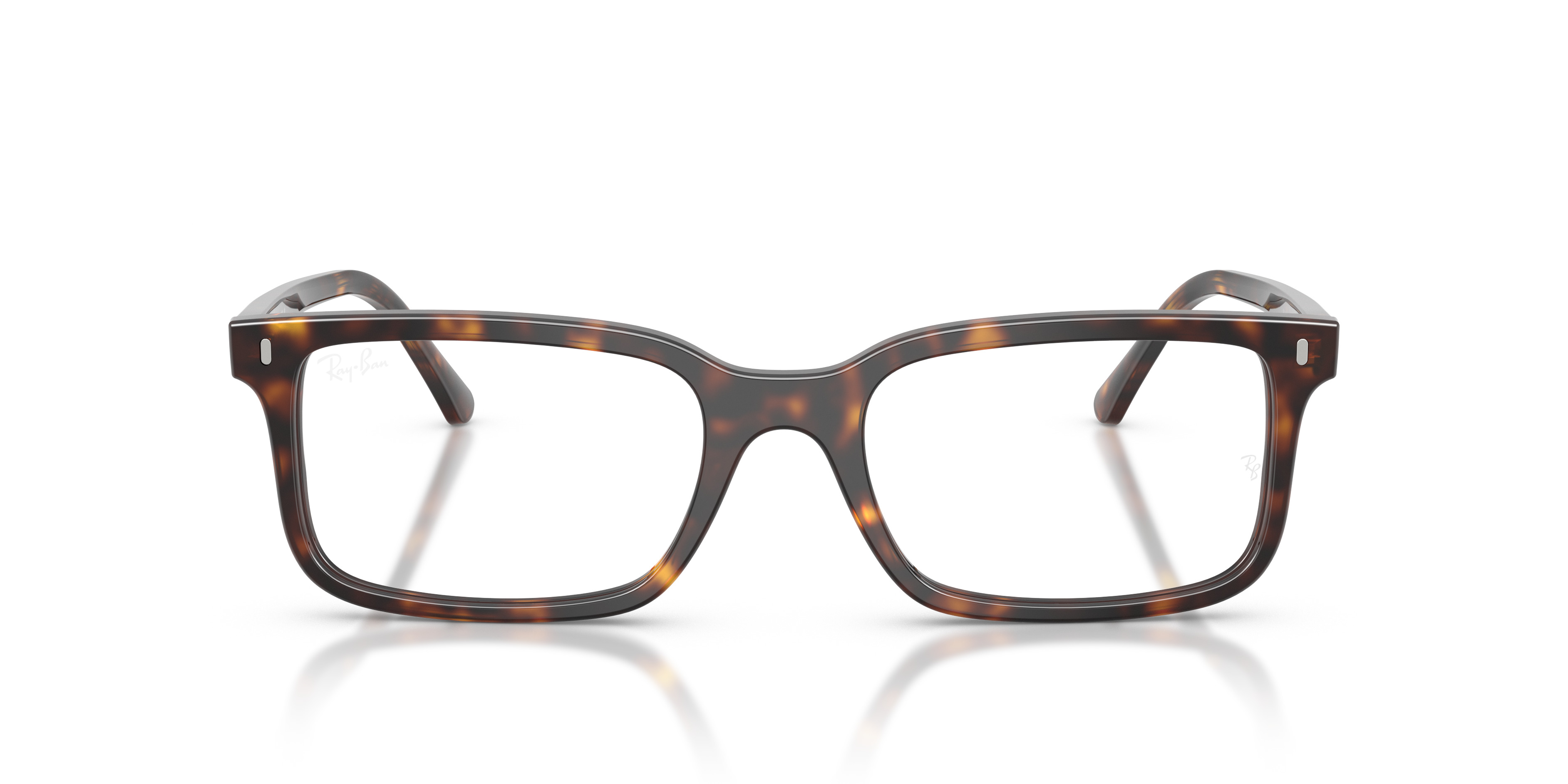 RB5445 OPTICS - 4