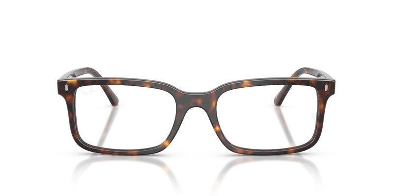 RB5445 OPTICS 4