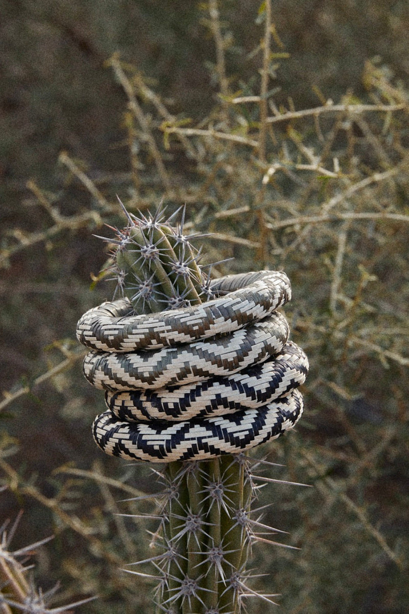 Cosmic Serpent Bangles 3
