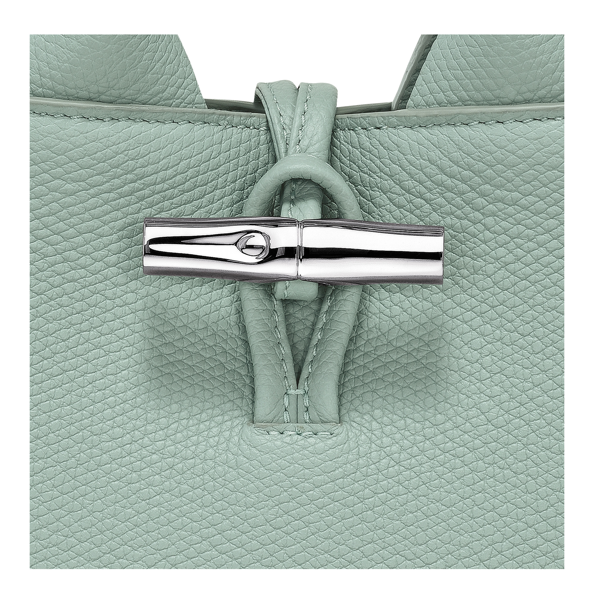Le Roseau XS Handbag Celadon - Leather - 7