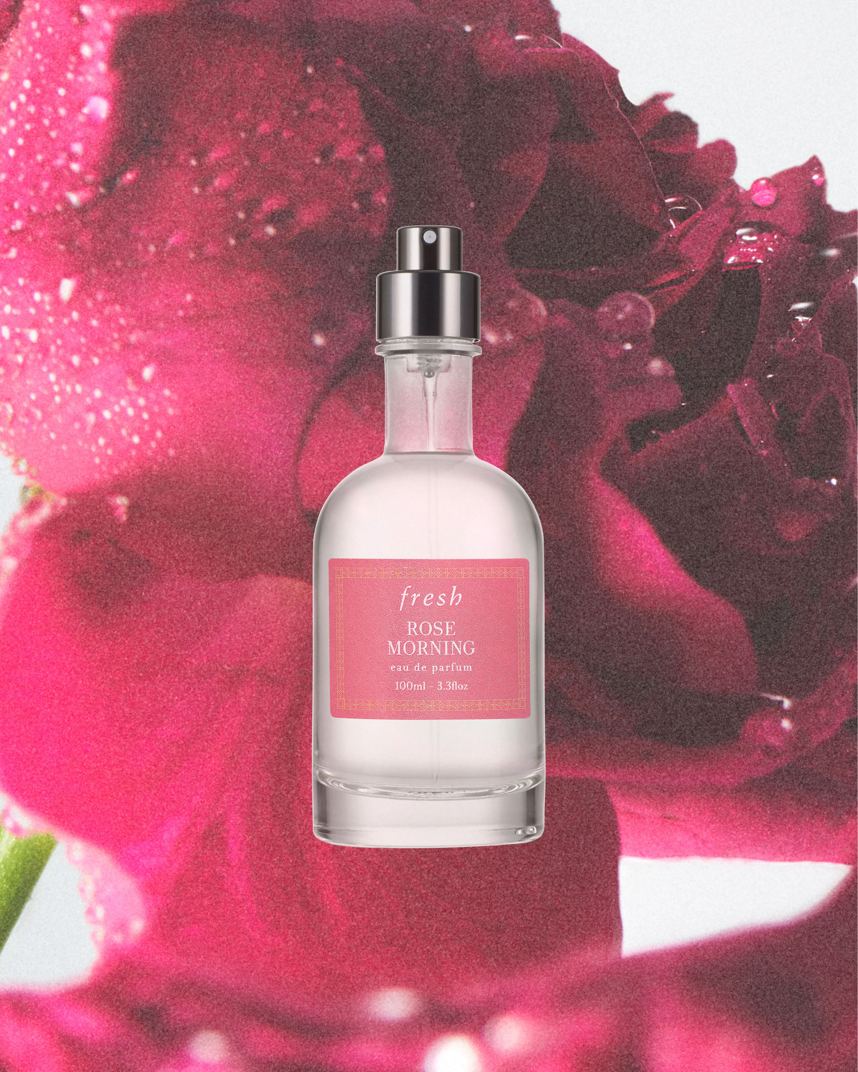 rose morning eau de parfum - 1