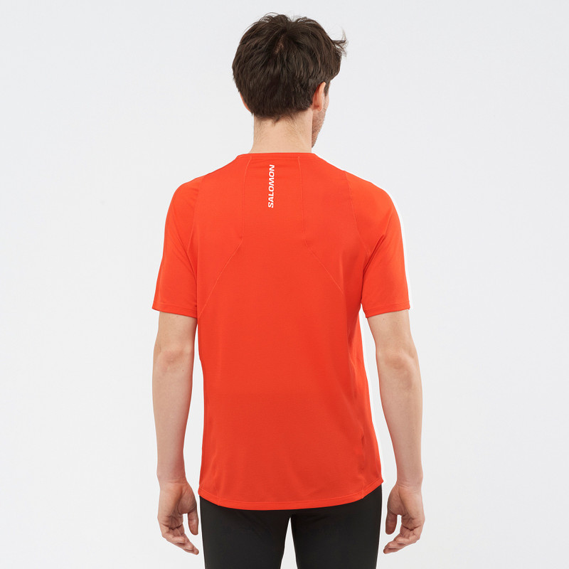 SALOMON SENSE AERO outlook