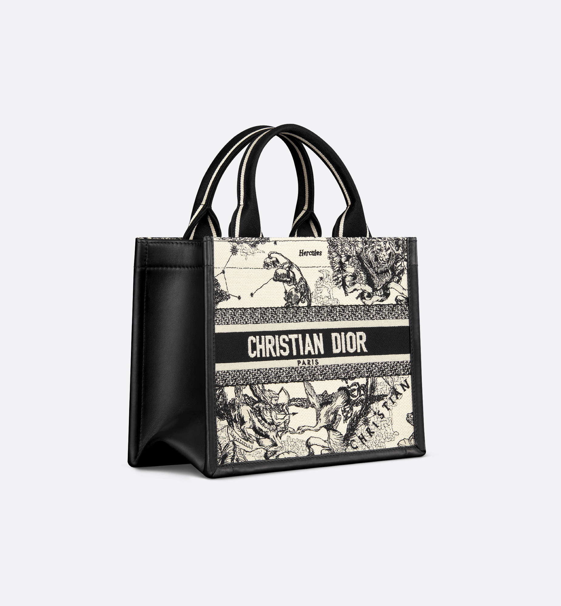 Small Dior Book Tote - 3