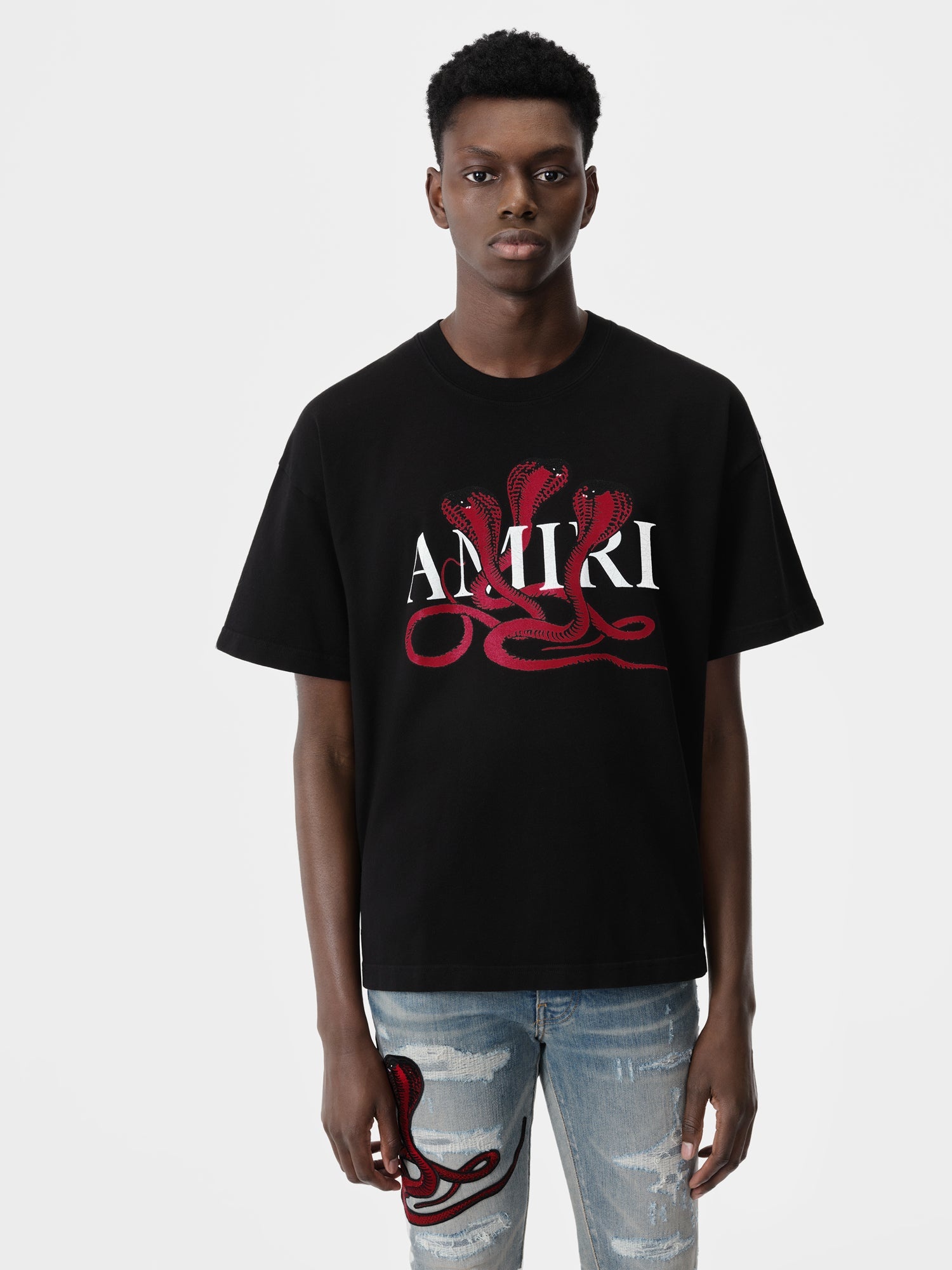 アミリ AMIRI グリッター ポイズン ロゴ スケーター Tシャツ AMIRI GLITTER POISON LOGO SKATER TEE | REVERSIBLE