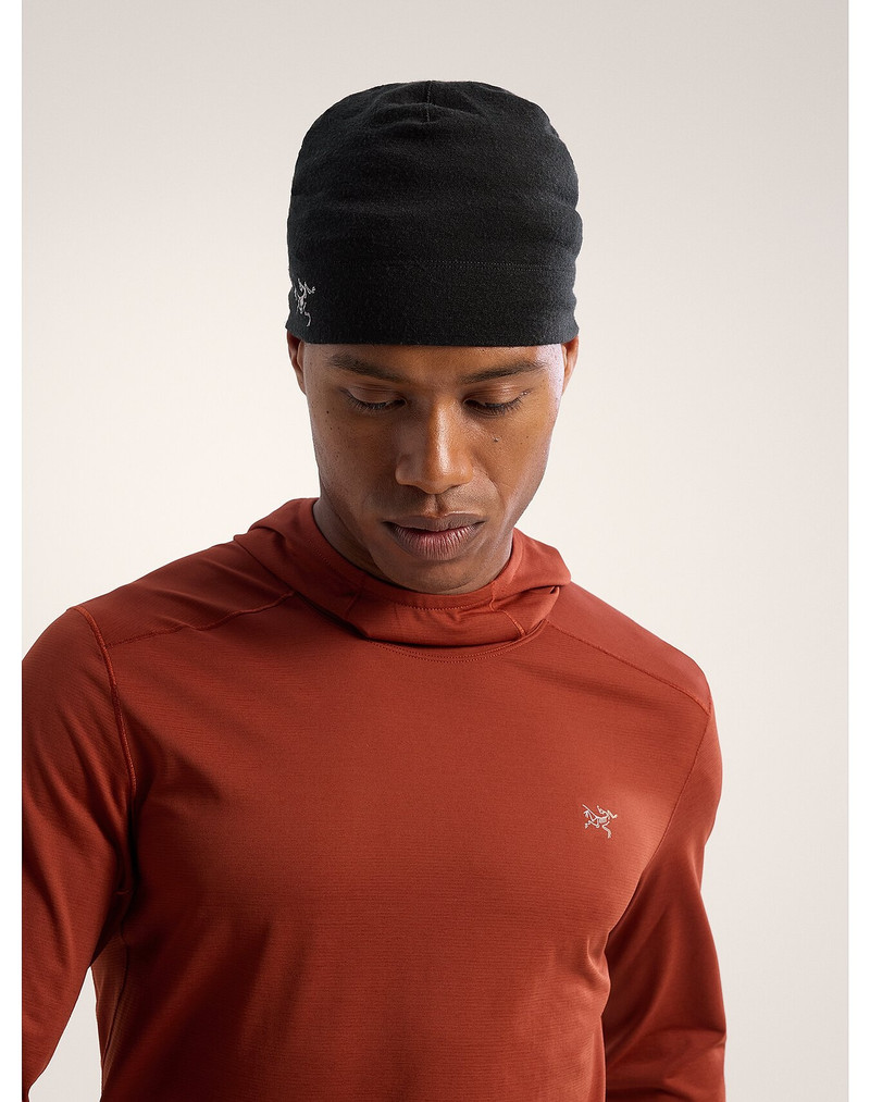 Arc'teryx Rho Lightweight Wool Toque outlook