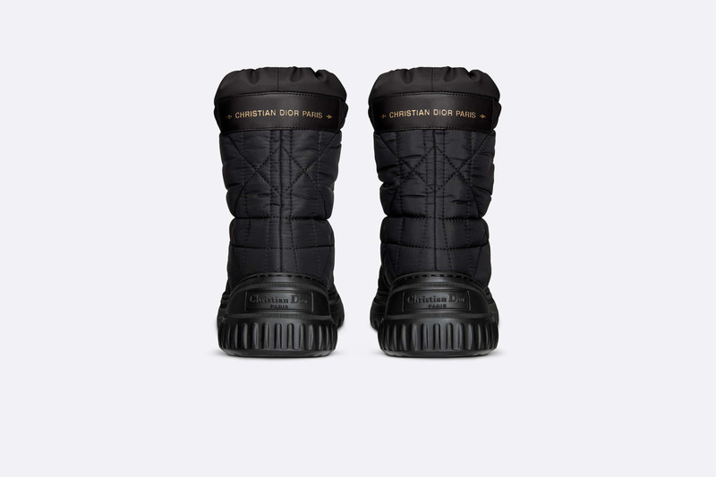 Dior Frost Ankle Boot 5