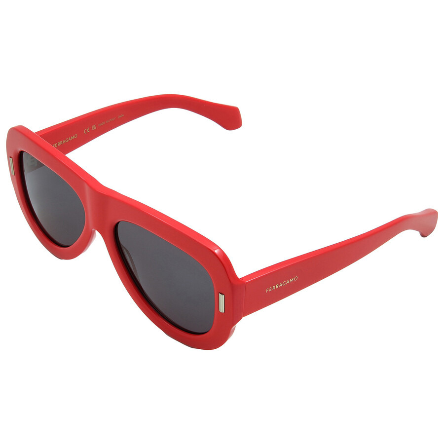 Ferragamo Grey Oval Ladies Sunglasses SF2029SE 600 57 - 4