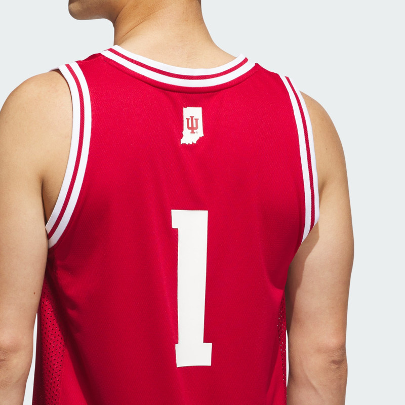 Indiana Hoosiers Away Swingman Jersey 6