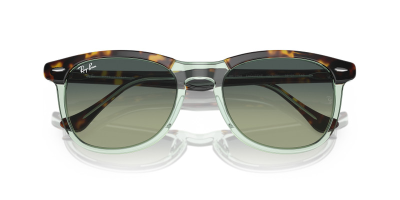 Ray-Ban EAGLE EYE outlook