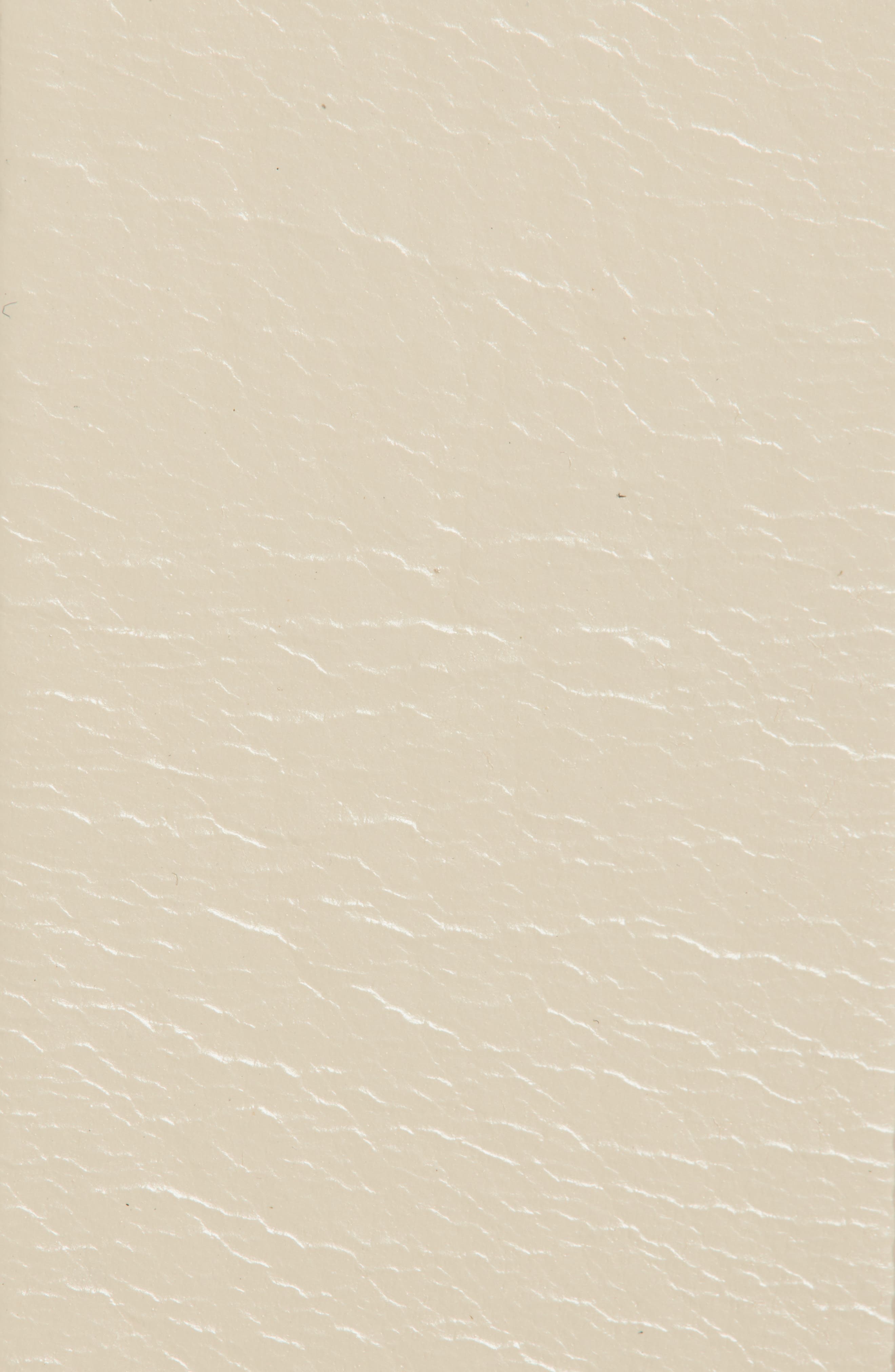 rag & bone Boyfriend Leather Belt in Turtle Dove at Nordstrom - 2