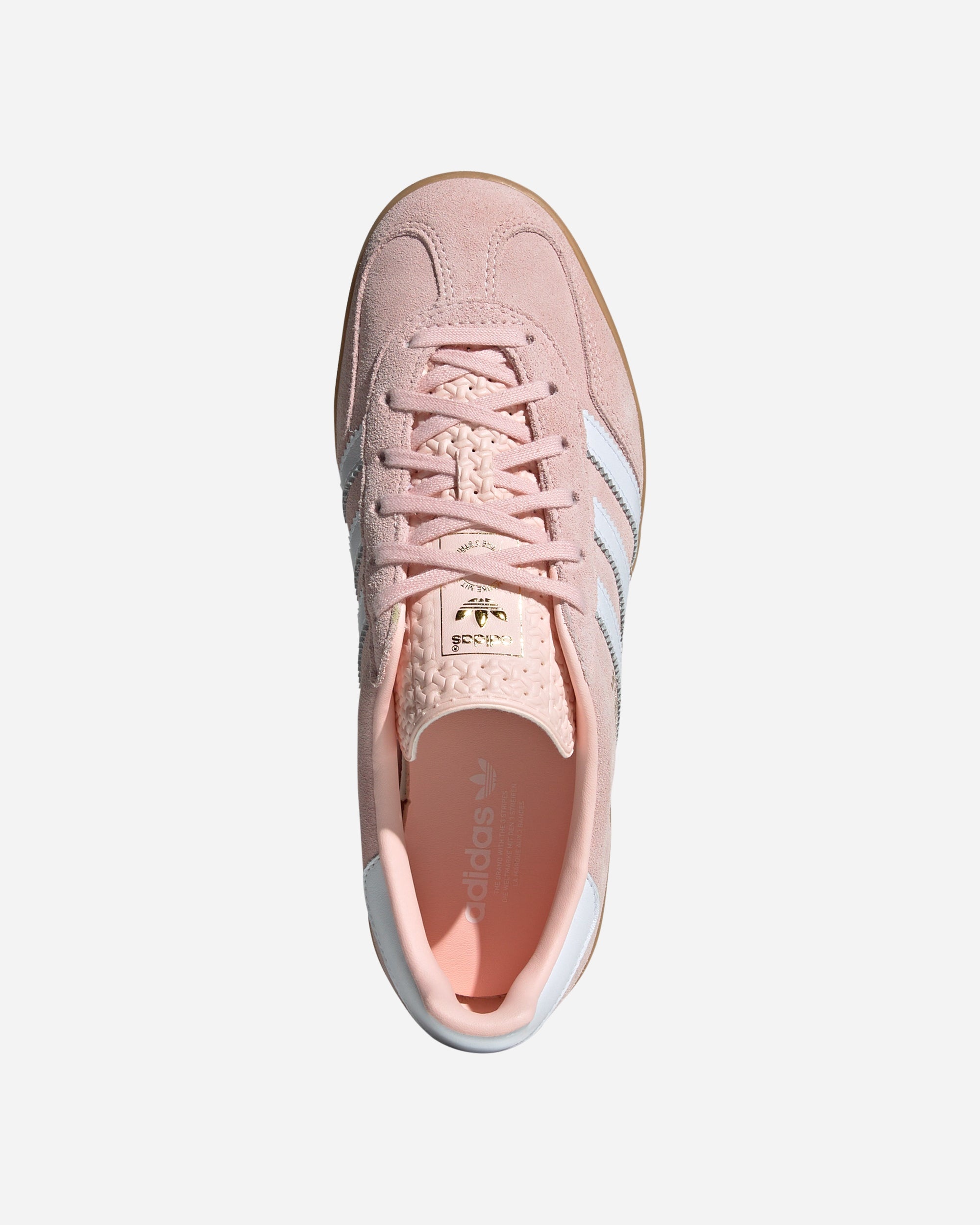 Gazelle Indoor - 2
