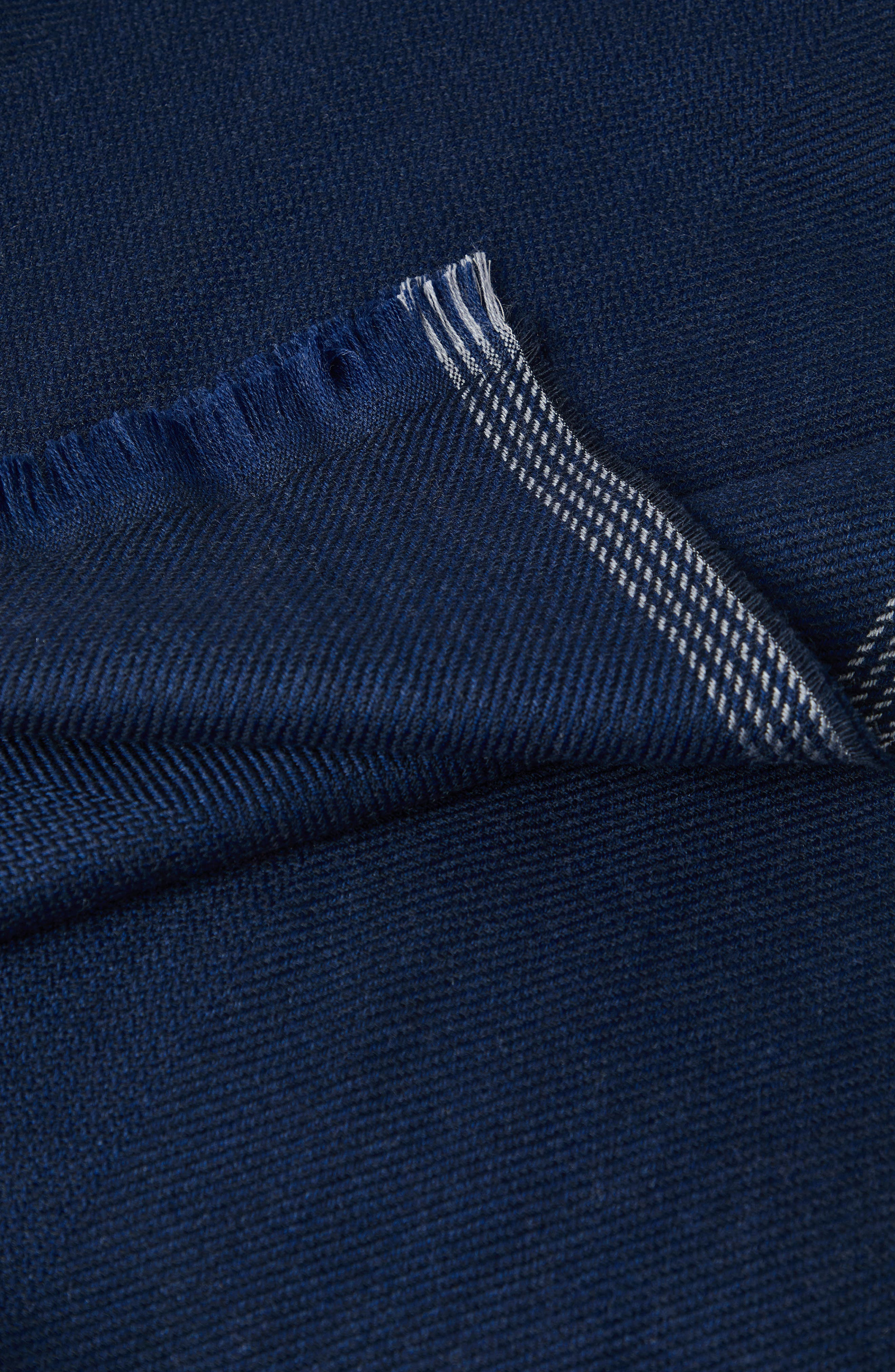 Brunello Cucinelli Scarf in Blue at Nordstrom - 4