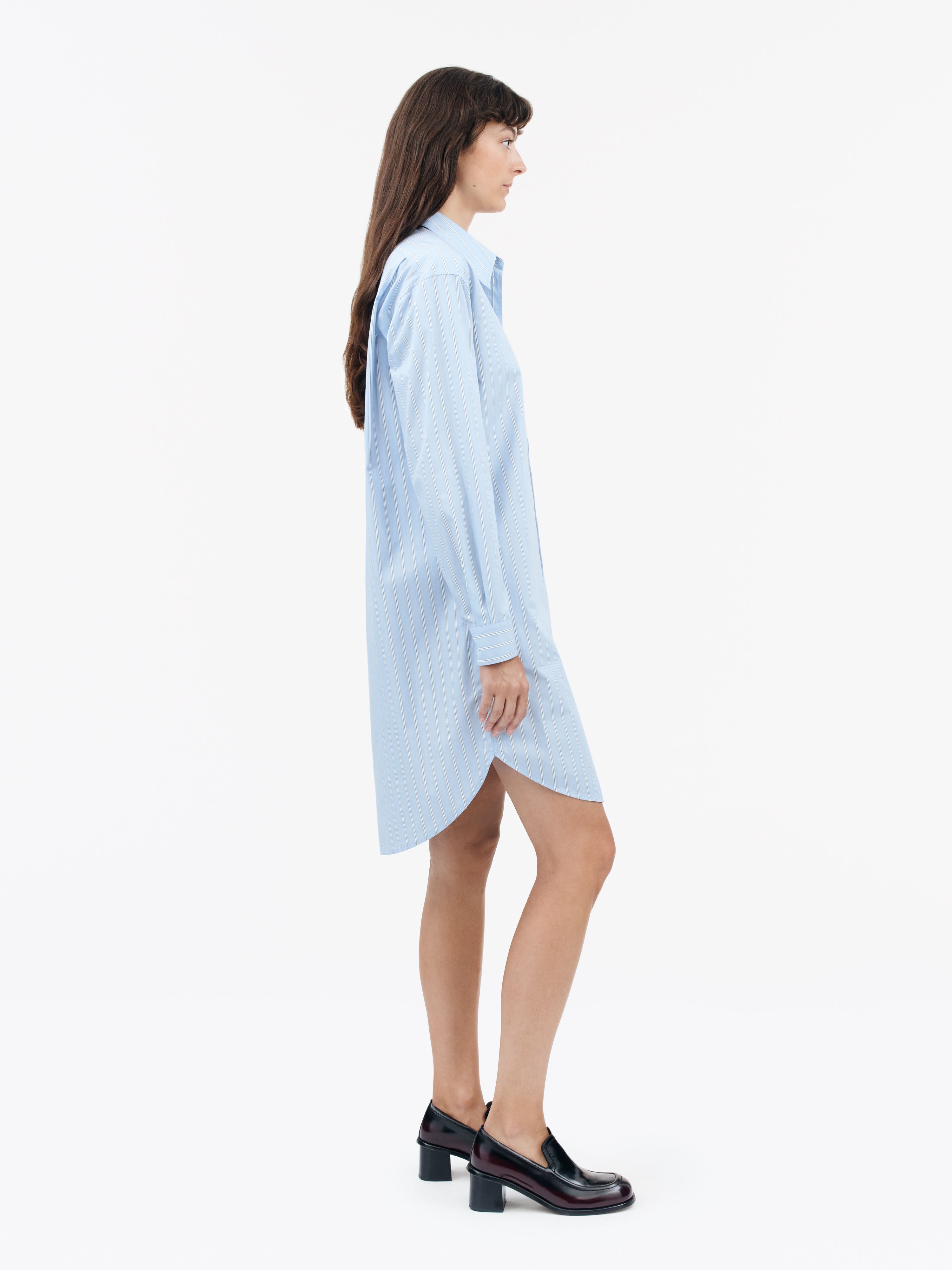 Silvie Pinstriped Dress - 3