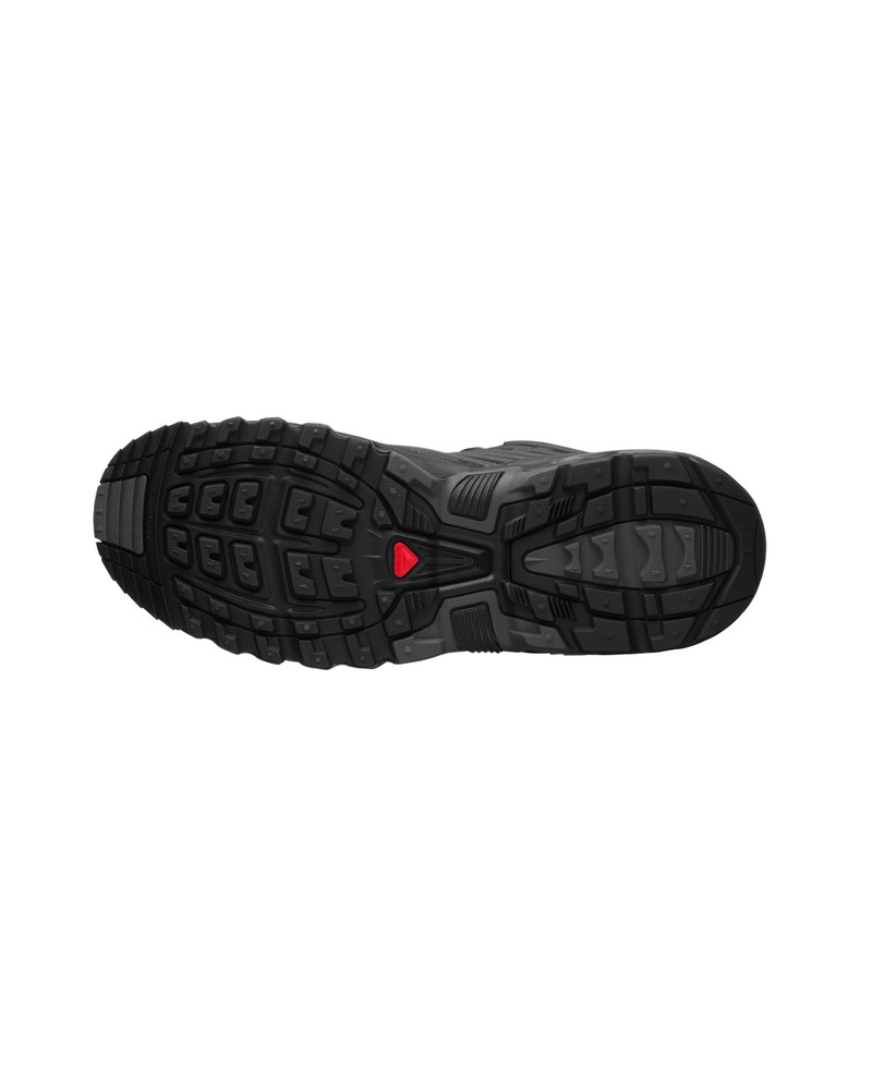 ACS PRO 6