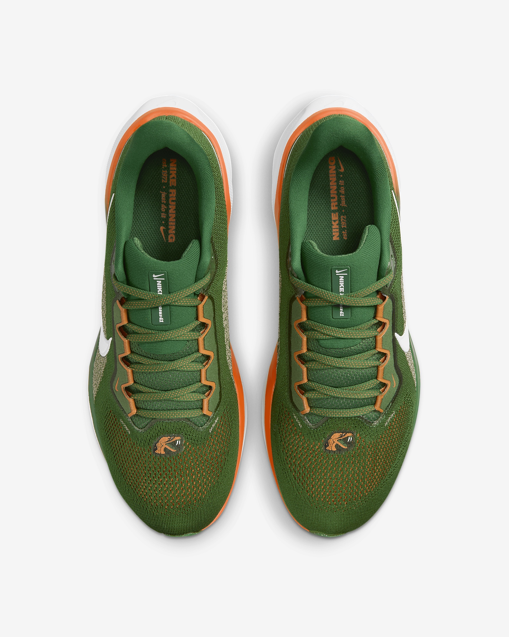 NIKE AIR PEGASUS 41 COLLEGE FAMU GREEN MEN\'S Size 10.5 NEW NIKE AIR PEGASUS 41 COLLEGE FAMU GREEN MEN main image 3