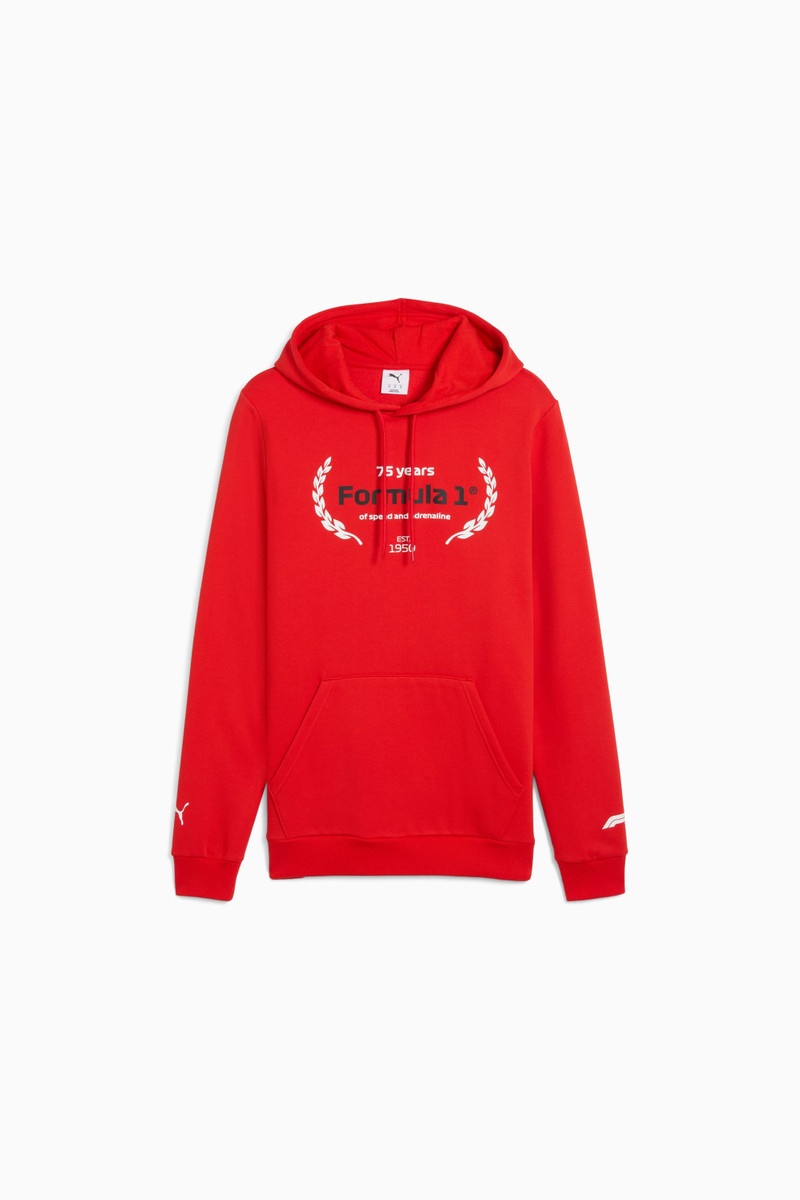 Formula 1® Motorsport Essentials Men's Hoodie 1