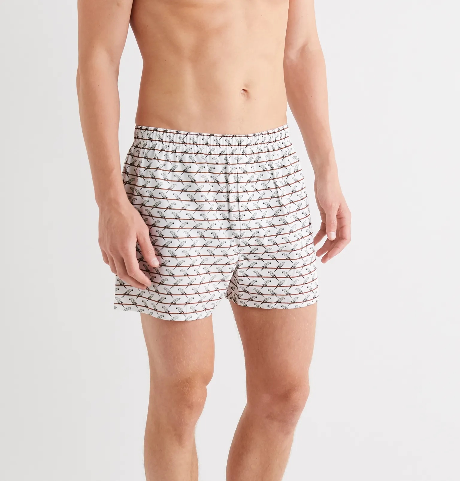 Printed Cotton Boxer Shorts - 2