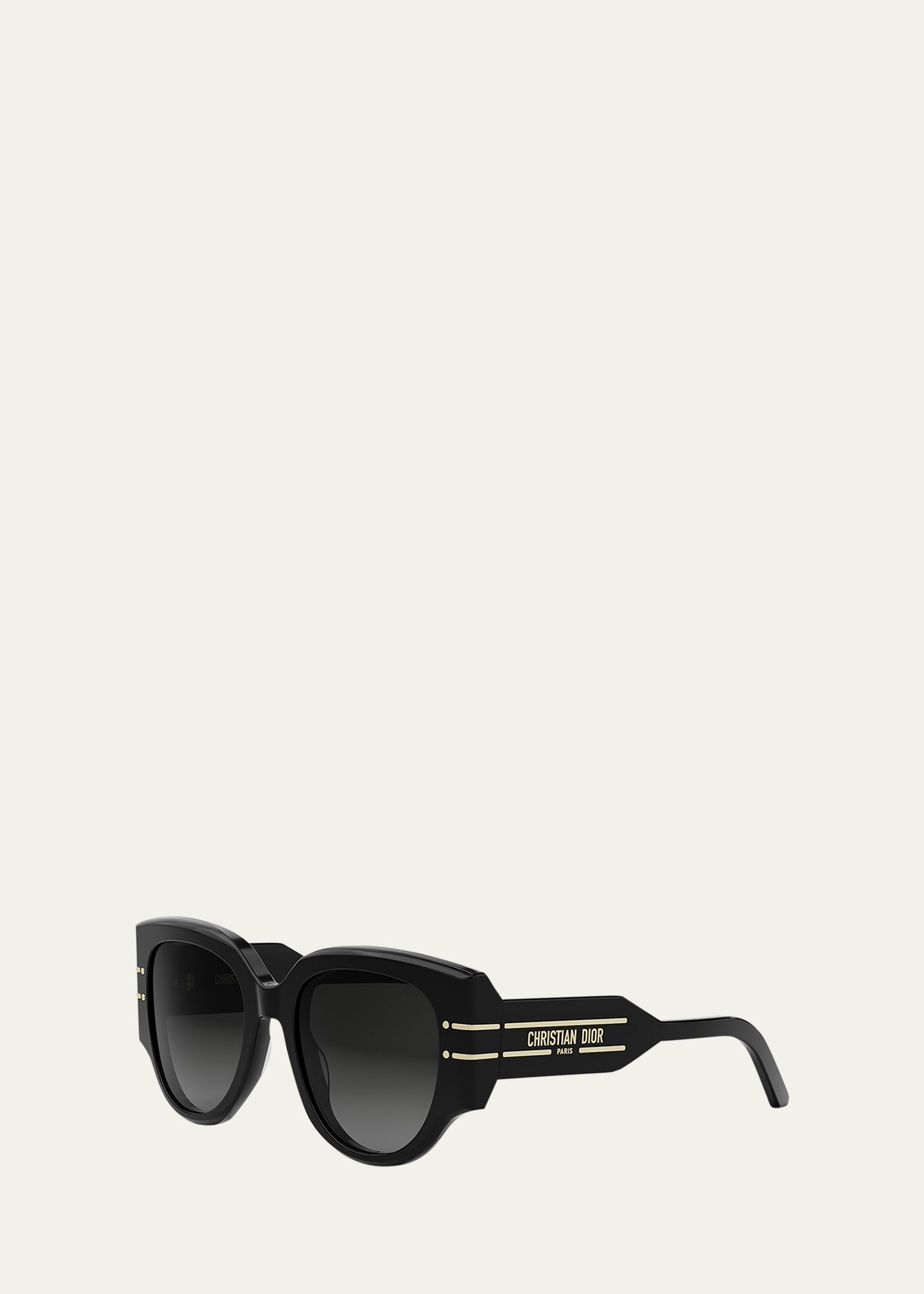 DiorSignature R21 Sunglasses - 2