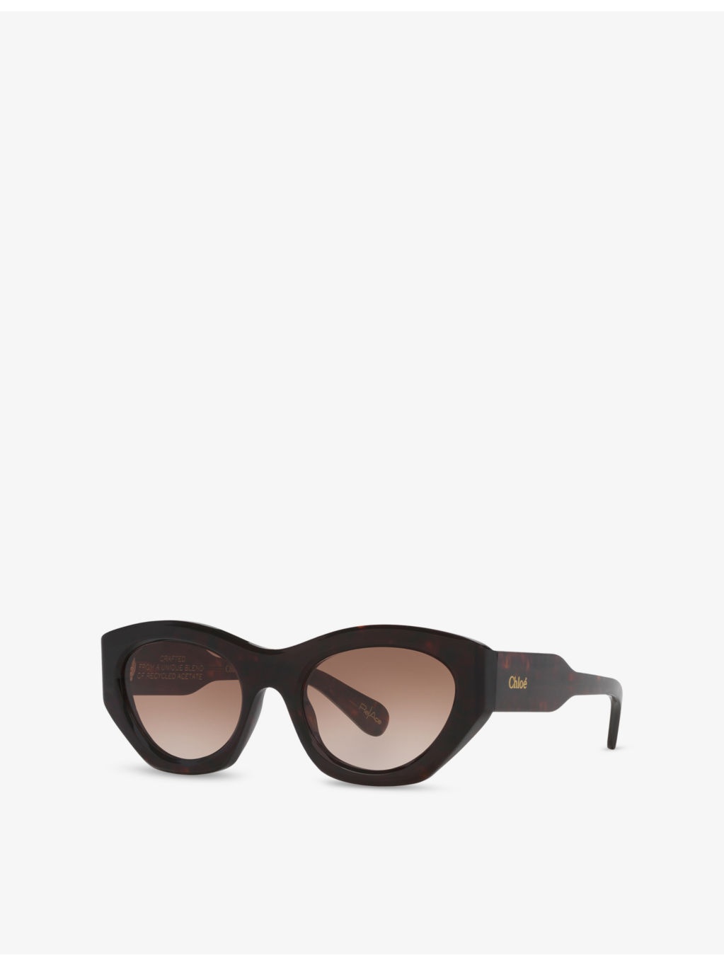 CH0220S Cat-Eye Acetate Sunglasses - 2