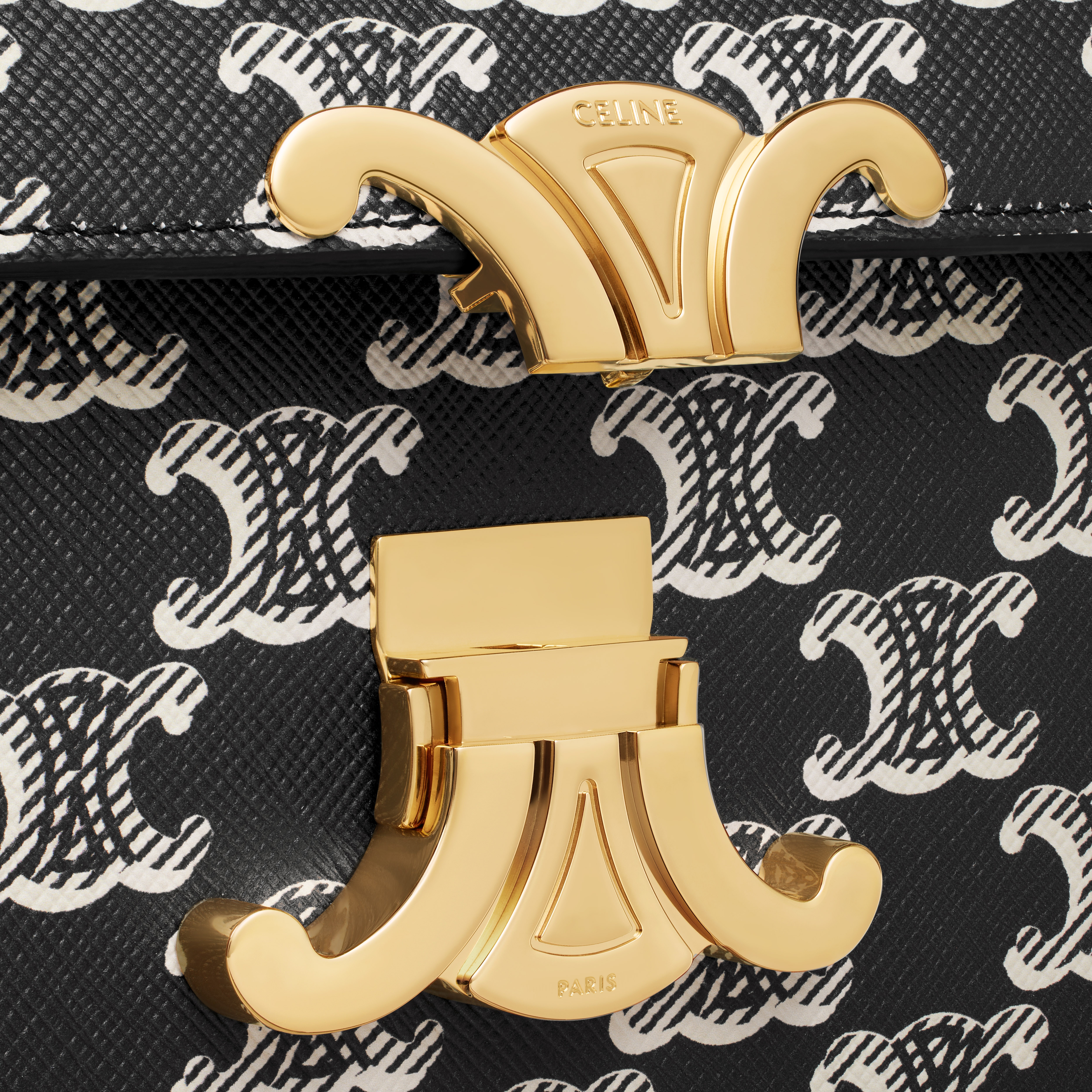 MEDIUM CELINE LOLA BAG in Triomphe Canvas Two-Tone - 5