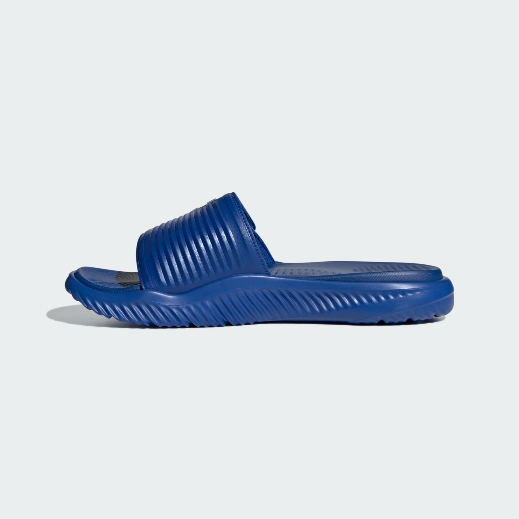Alpharesponse 2.0 Slides - 2